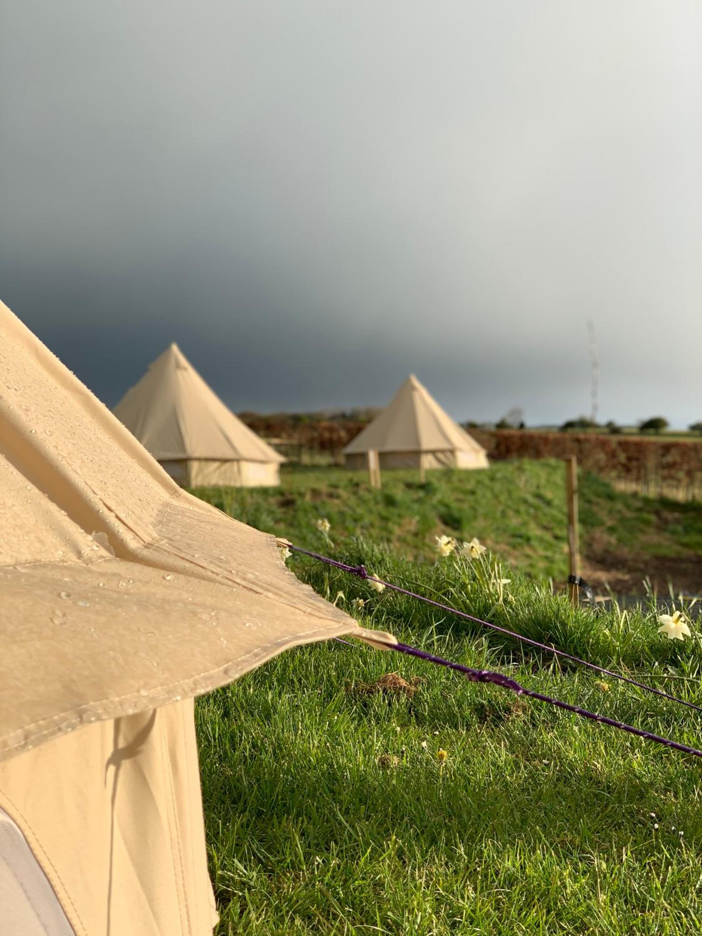 Bell Tent - No. 4 photo 3