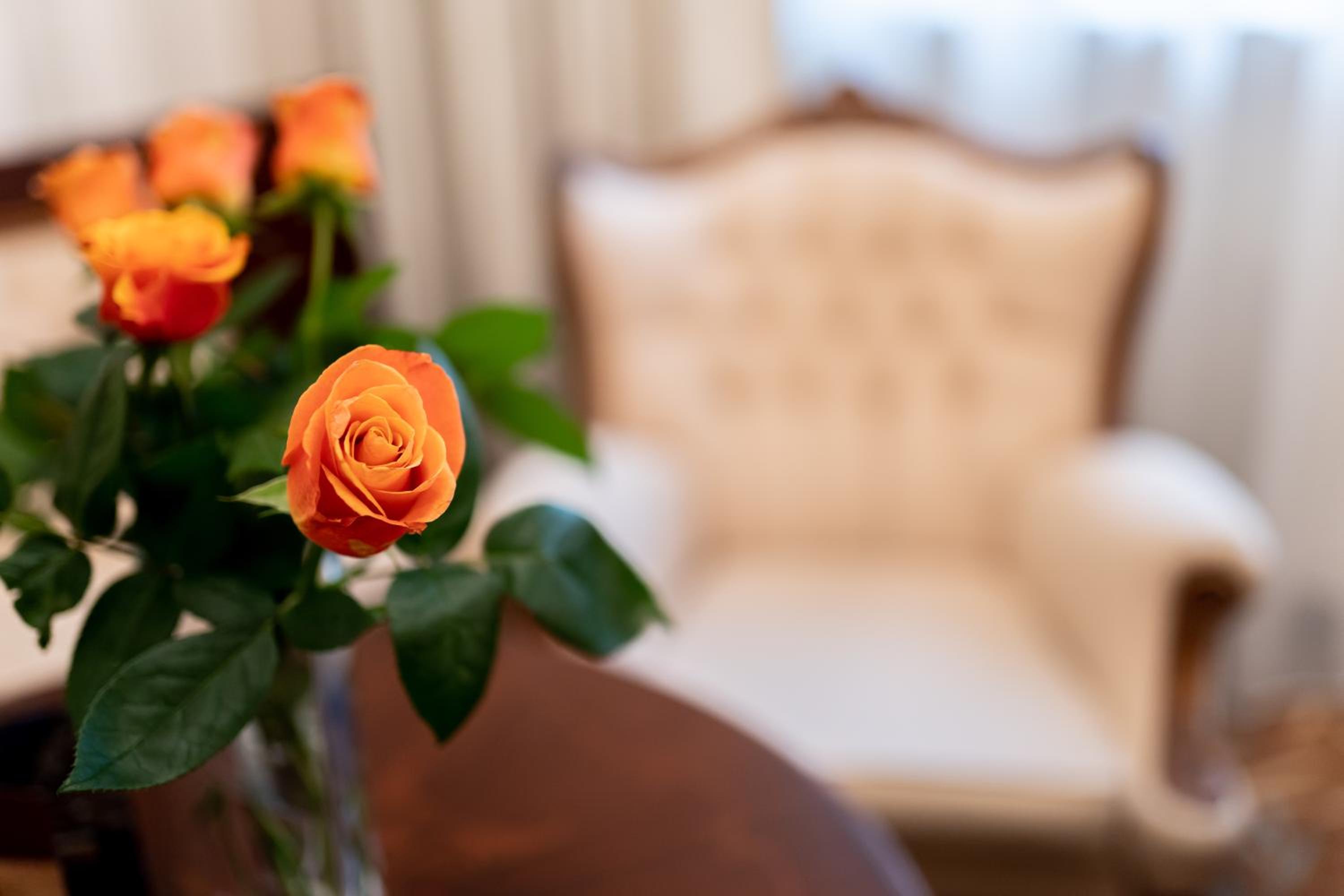 Suite - Photo 6