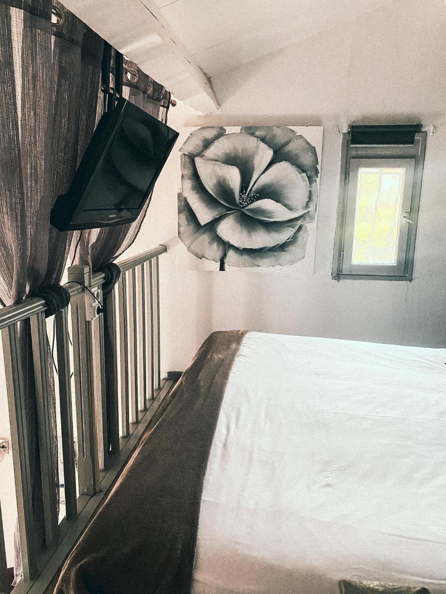 Junior Suite - Photo 1