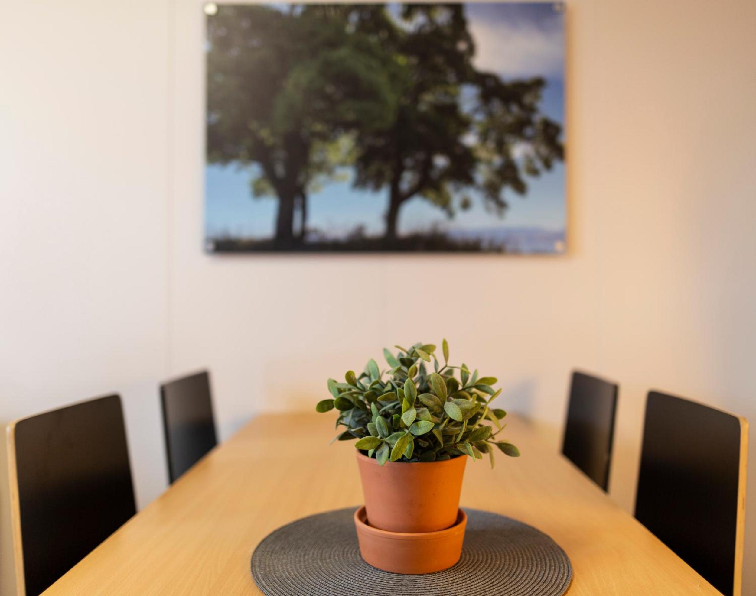 Standard Apartment - Photo 4