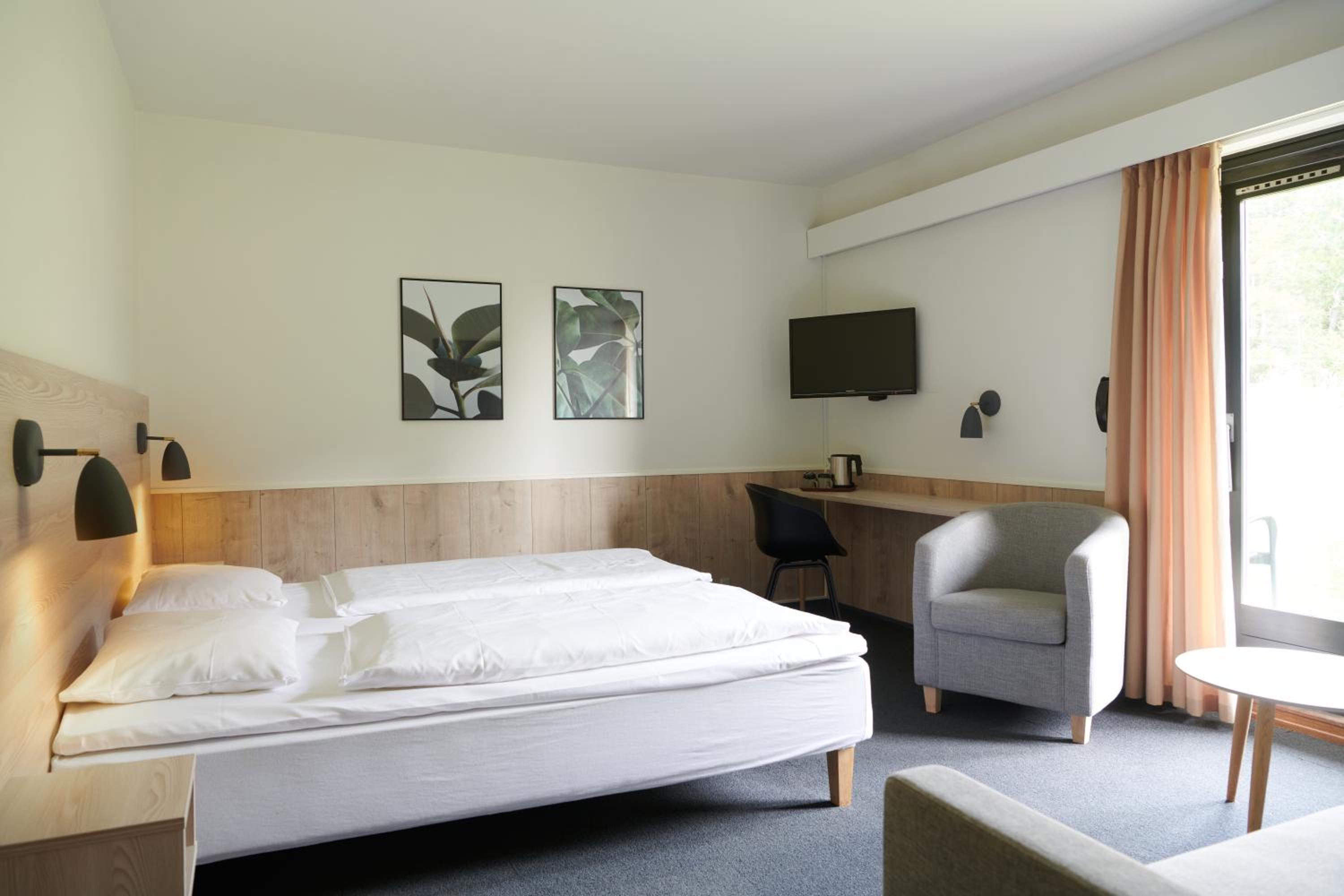 Superior Double Room photo 1