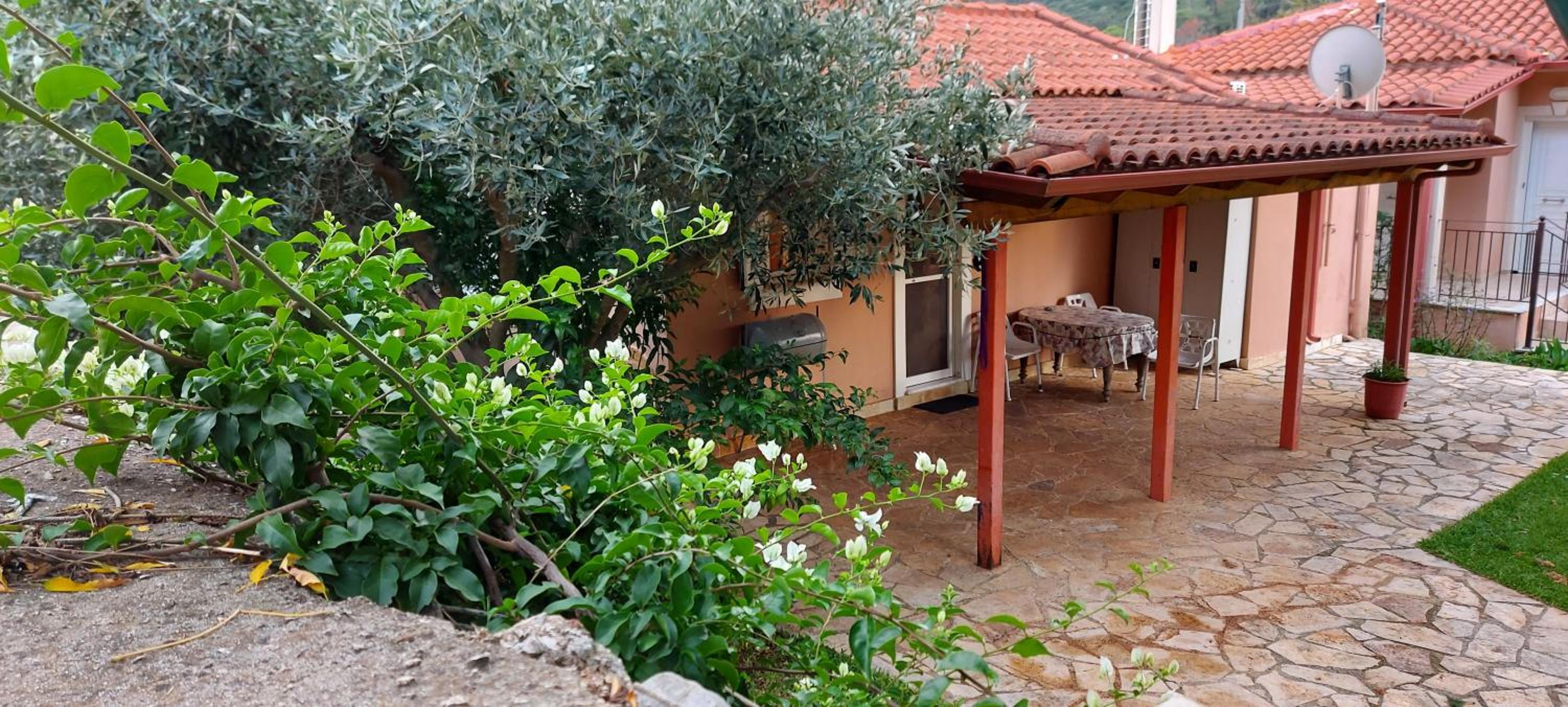 One-Bedroom House photo 3