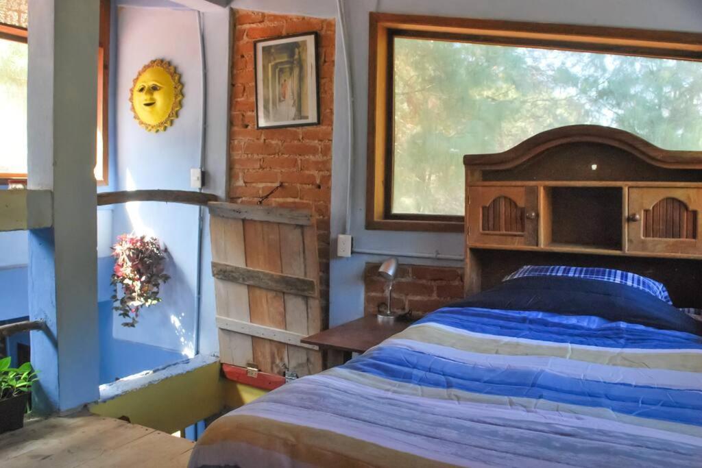 Single Bed in Female Dormitory Room