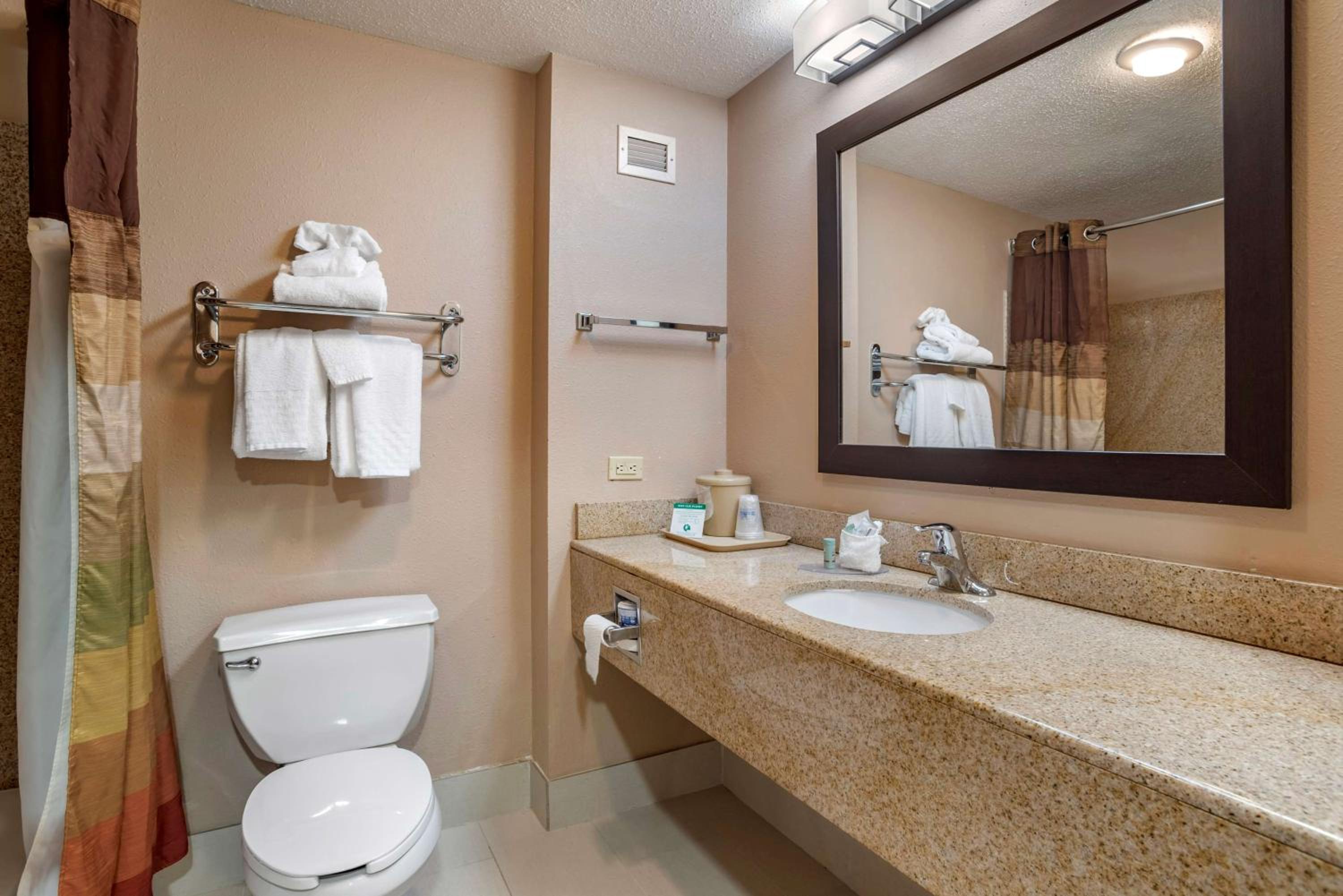 Deluxe King Room - Non Smoking photo 3