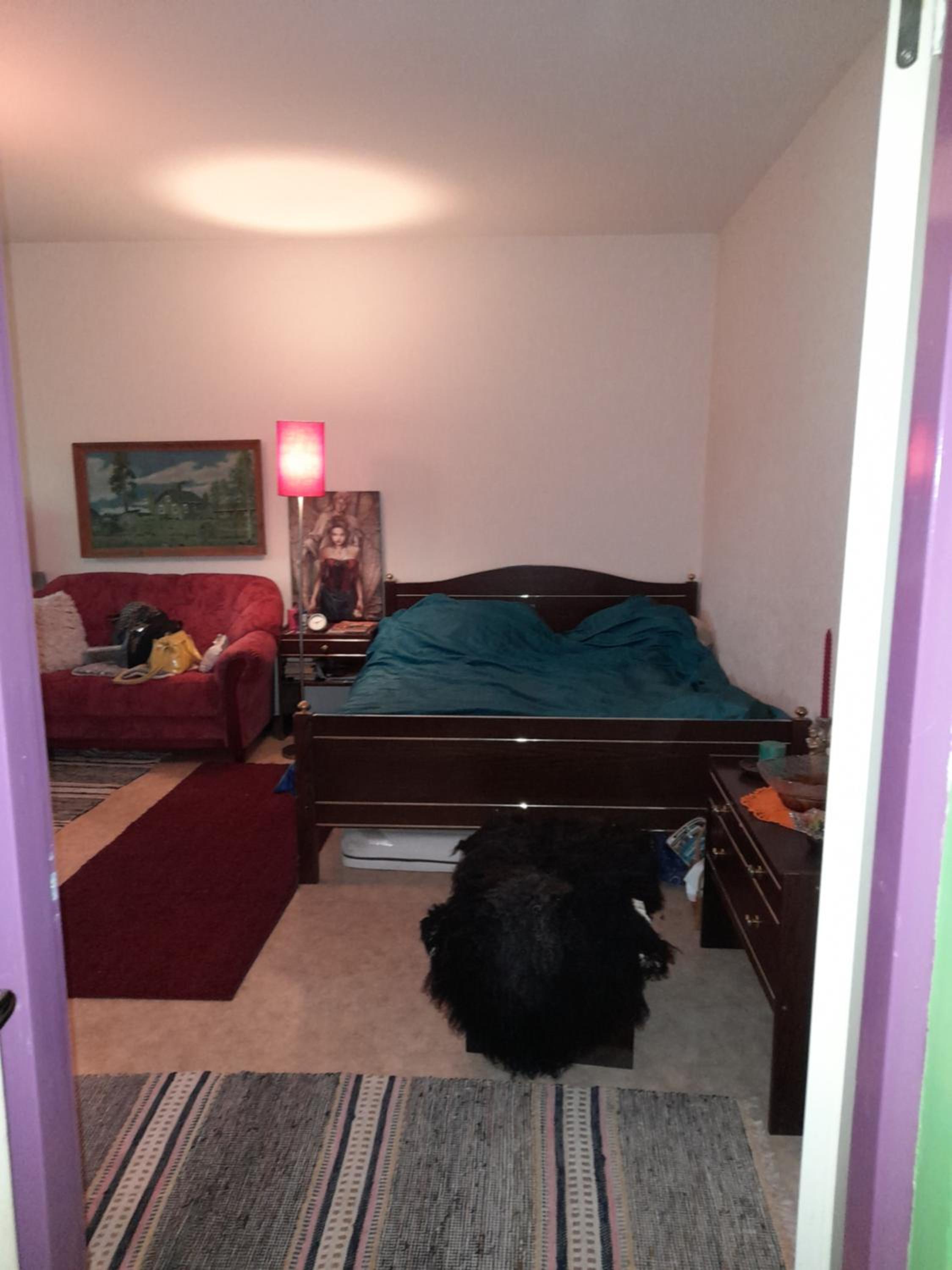 Studio Apartment photo 1
