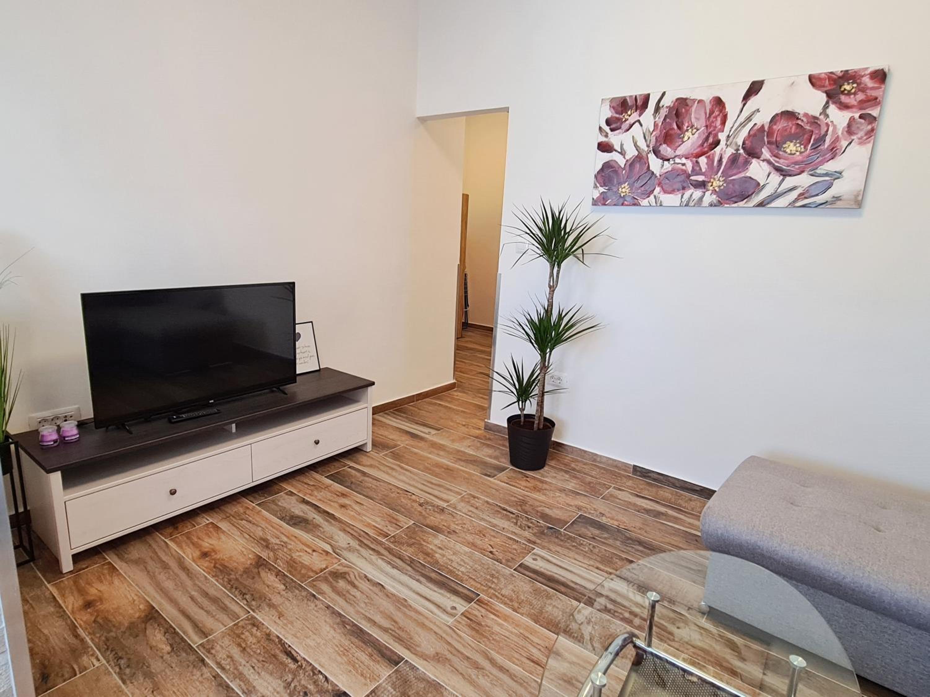 Apartment with Terrace
