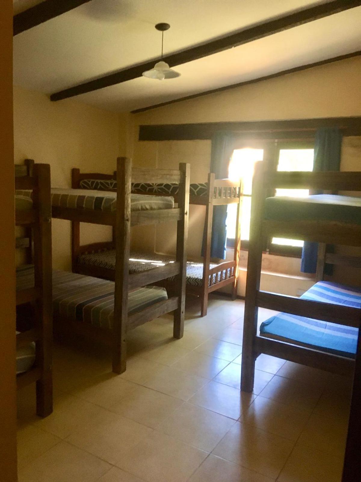 Single Bed in Female Dormitory Room photo 1