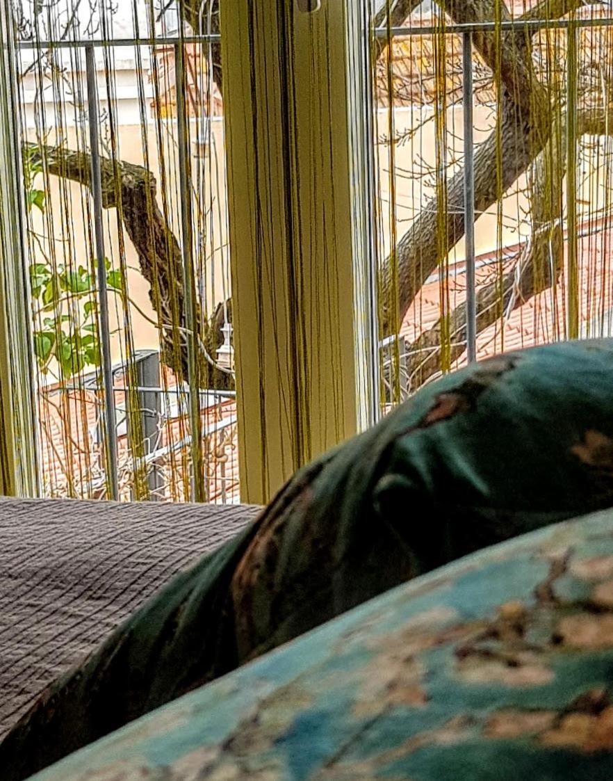 King Room with Garden View - Photo 3