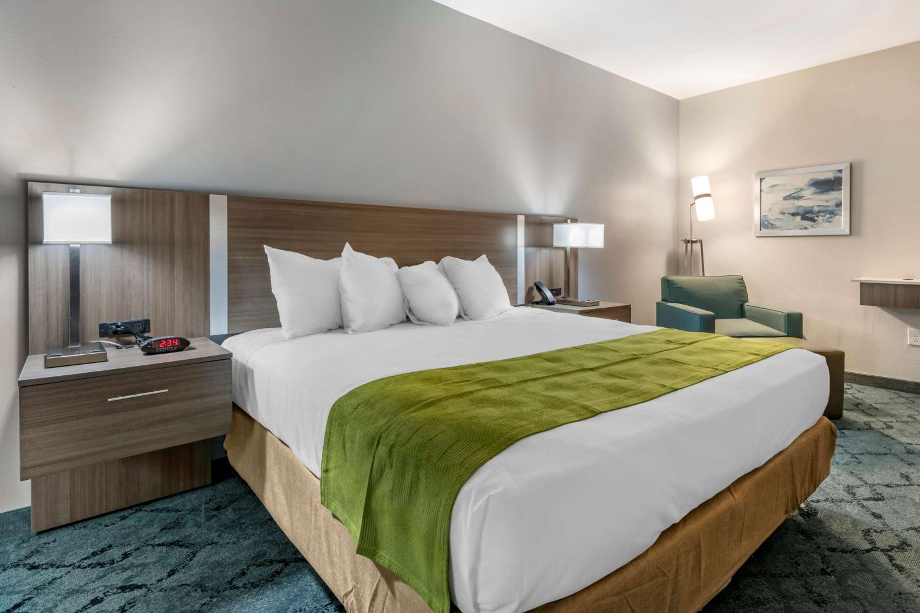 King Room with Roll-in Shower - Disability Access/Non-Smoking - Photo 1