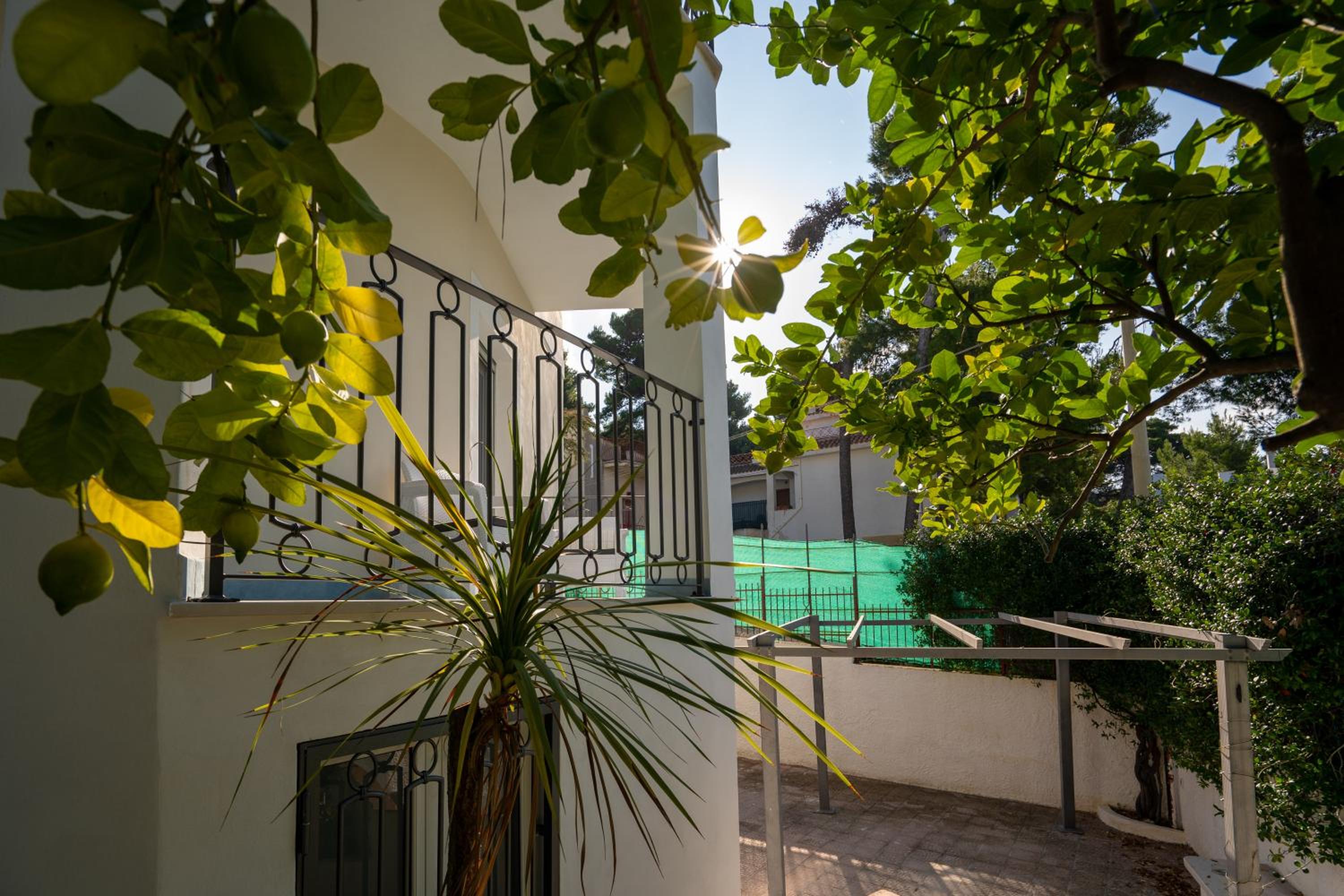 Triple Room with Terrace - Annex - Photo 5