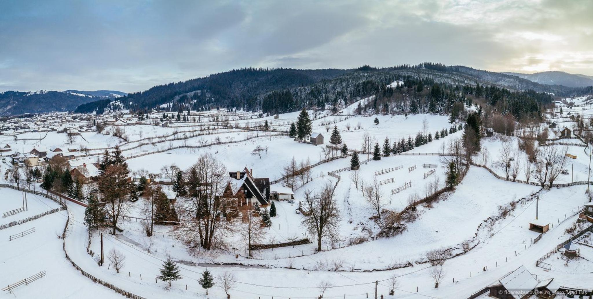 Chalet photo 2