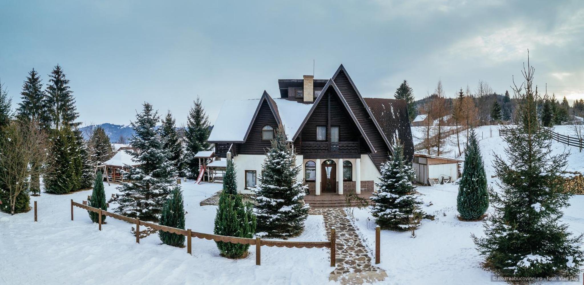 Chalet photo 3