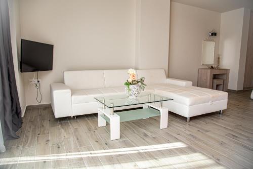 Queen Suite photo 2