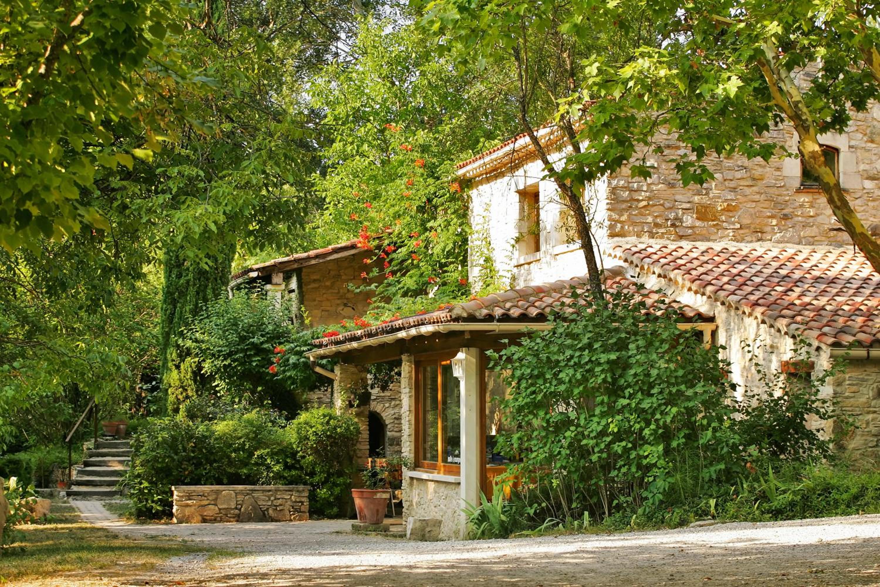 Standard Villa photo 1
