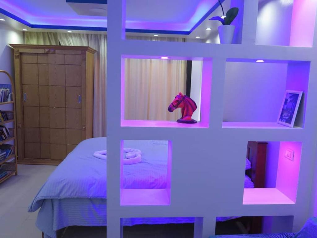 One-Bedroom Apartment - Photo 4