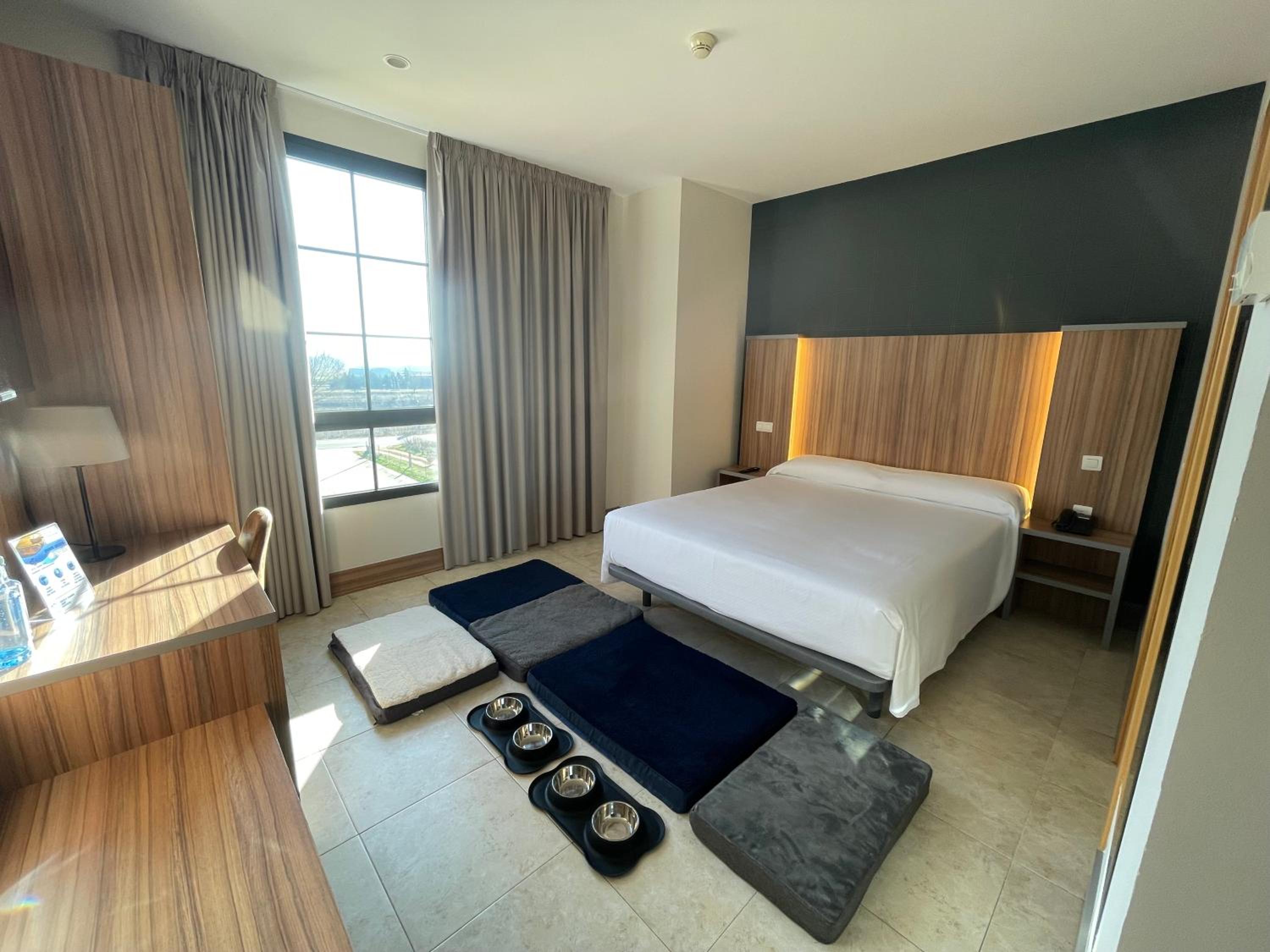 Habitación Estándar con Cama Queen