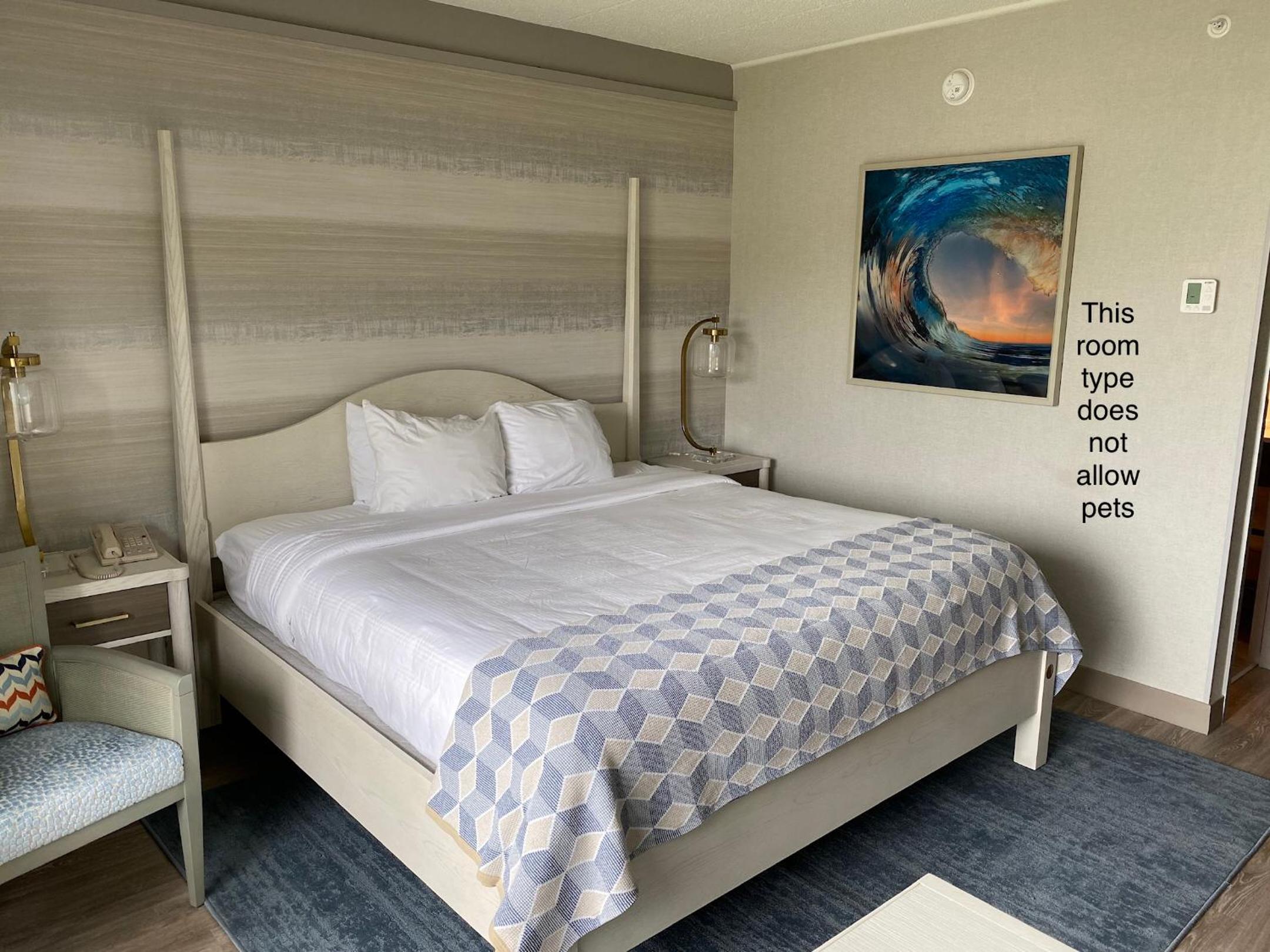 King Room - Non-Smoking photo 2