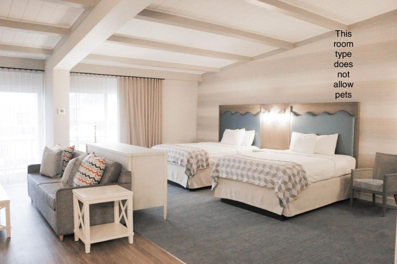 Studio Suite with Two Queen Beds - Non-Smoking photo 1