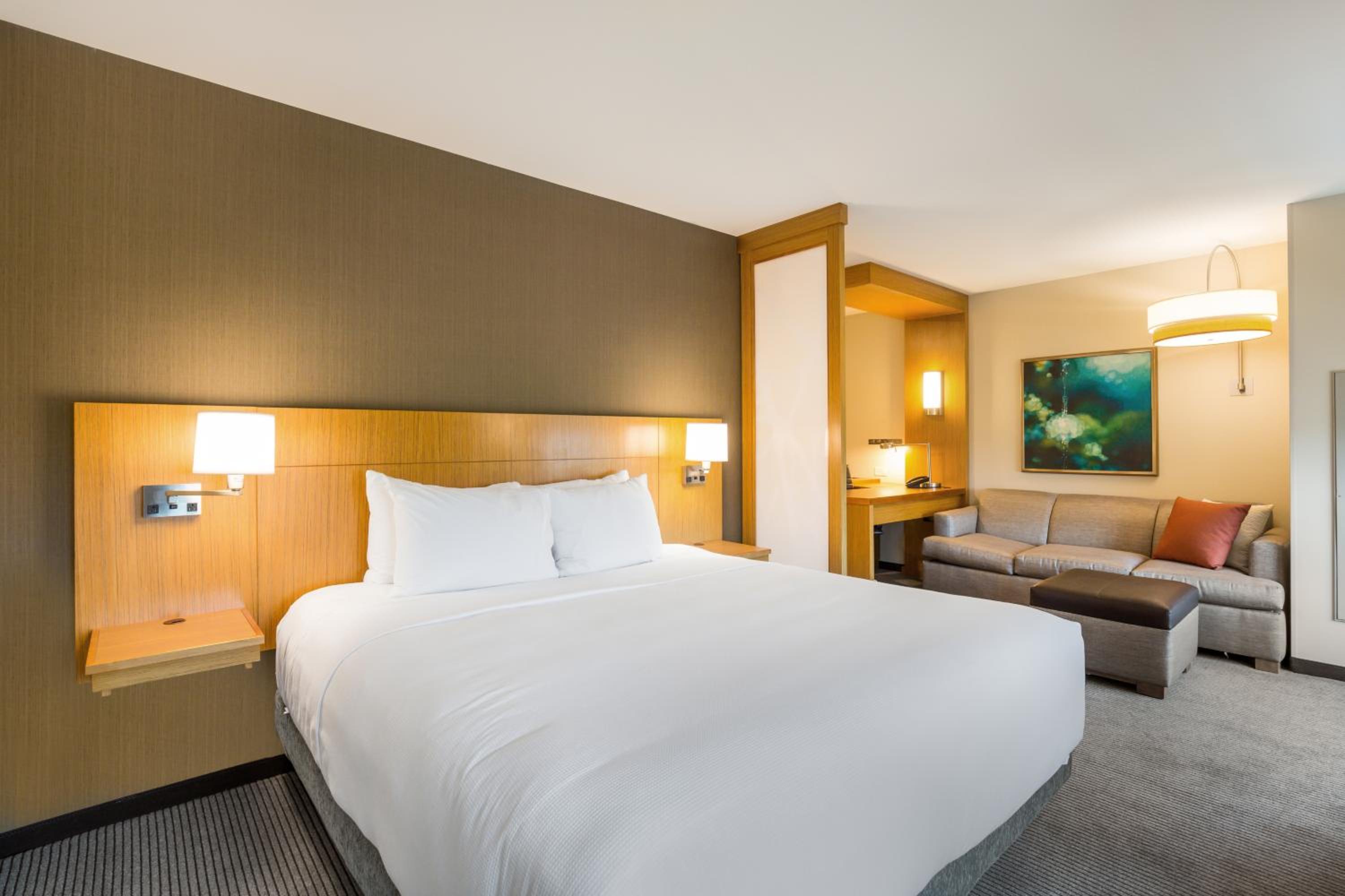 Specialty King Room with Sofa Bed - Photo 3