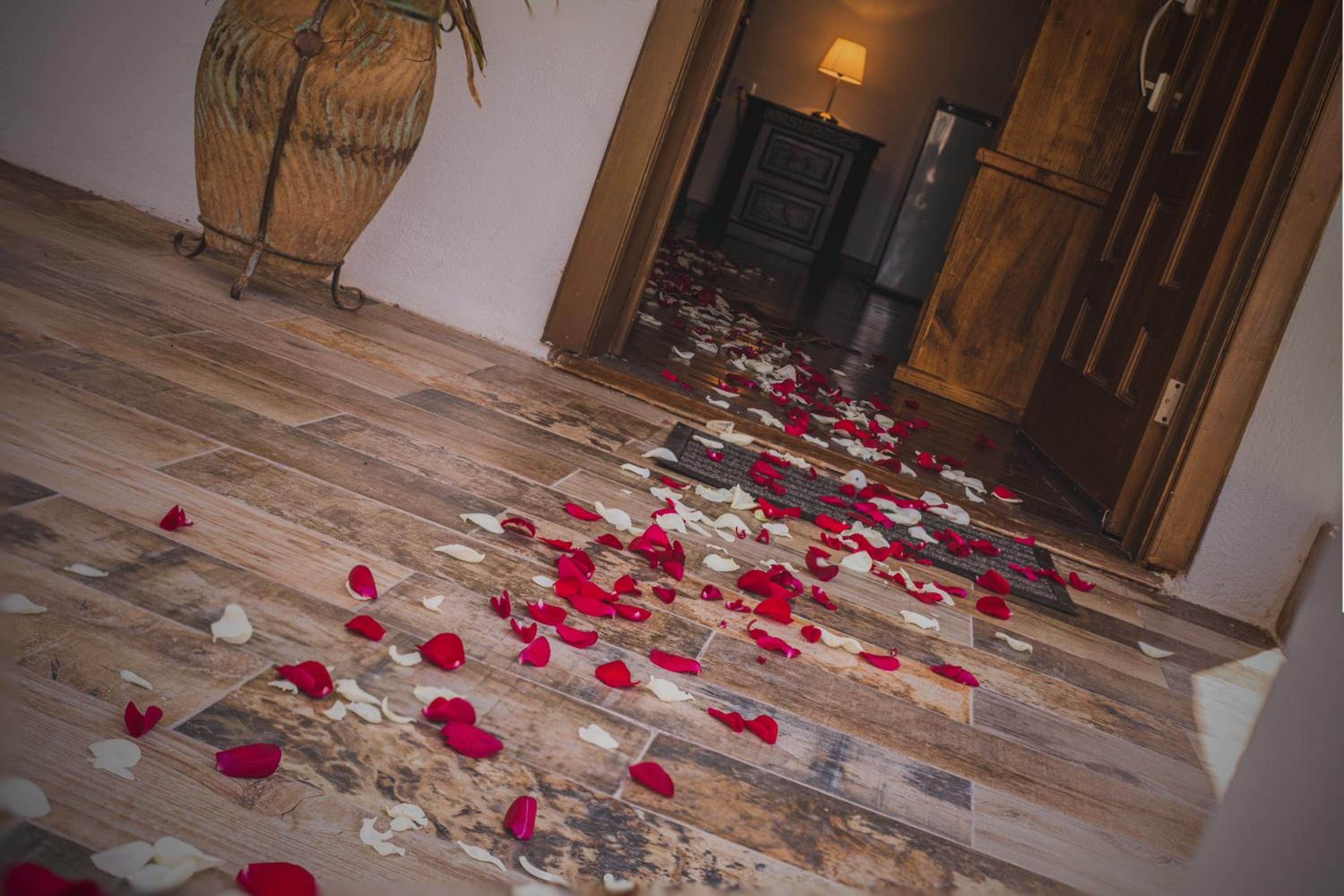 Suite with Terrace photo 3
