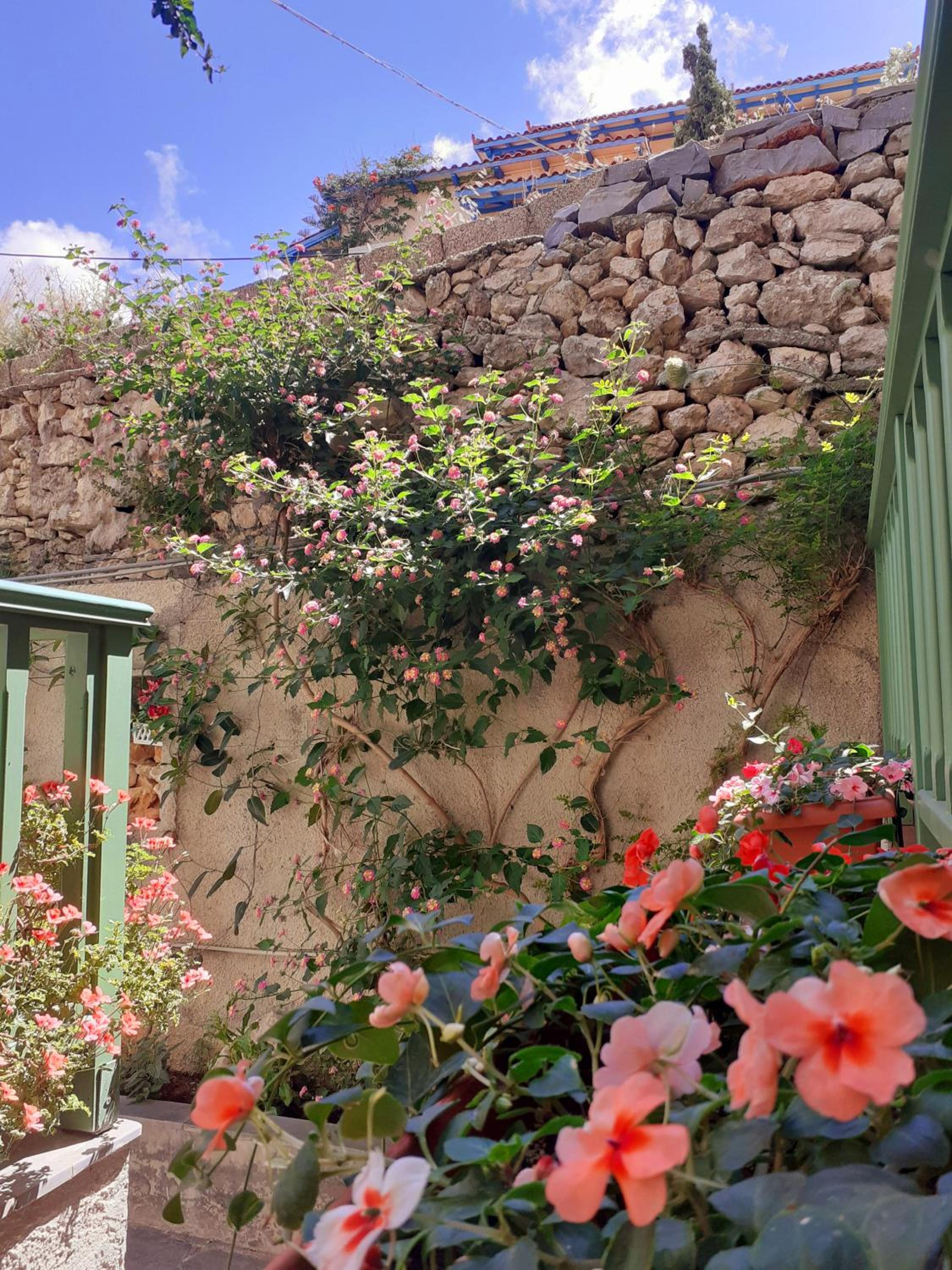 One-Bedroom Apartment (2 Adults)with garden View photo 2