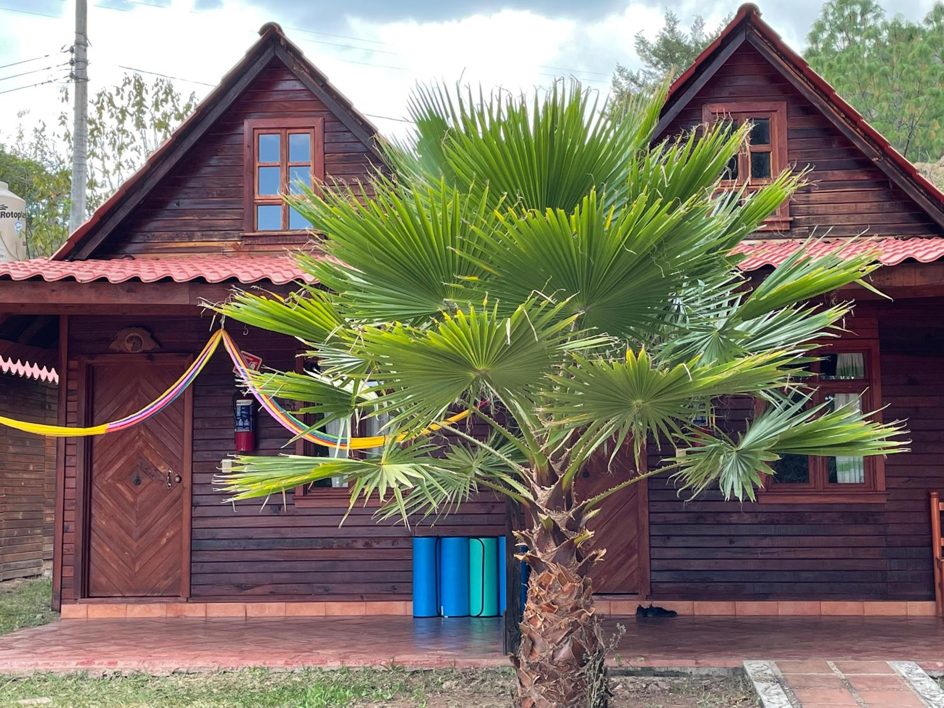 Bungalow - Photo 4