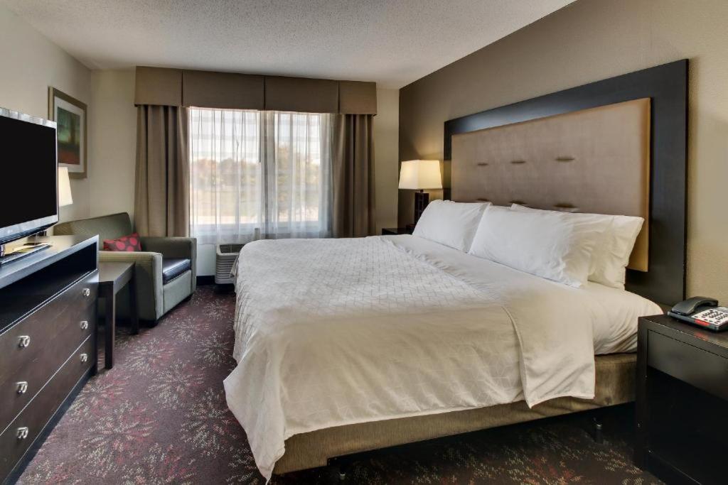 King Suite with Sofa Bed - Photo 1
