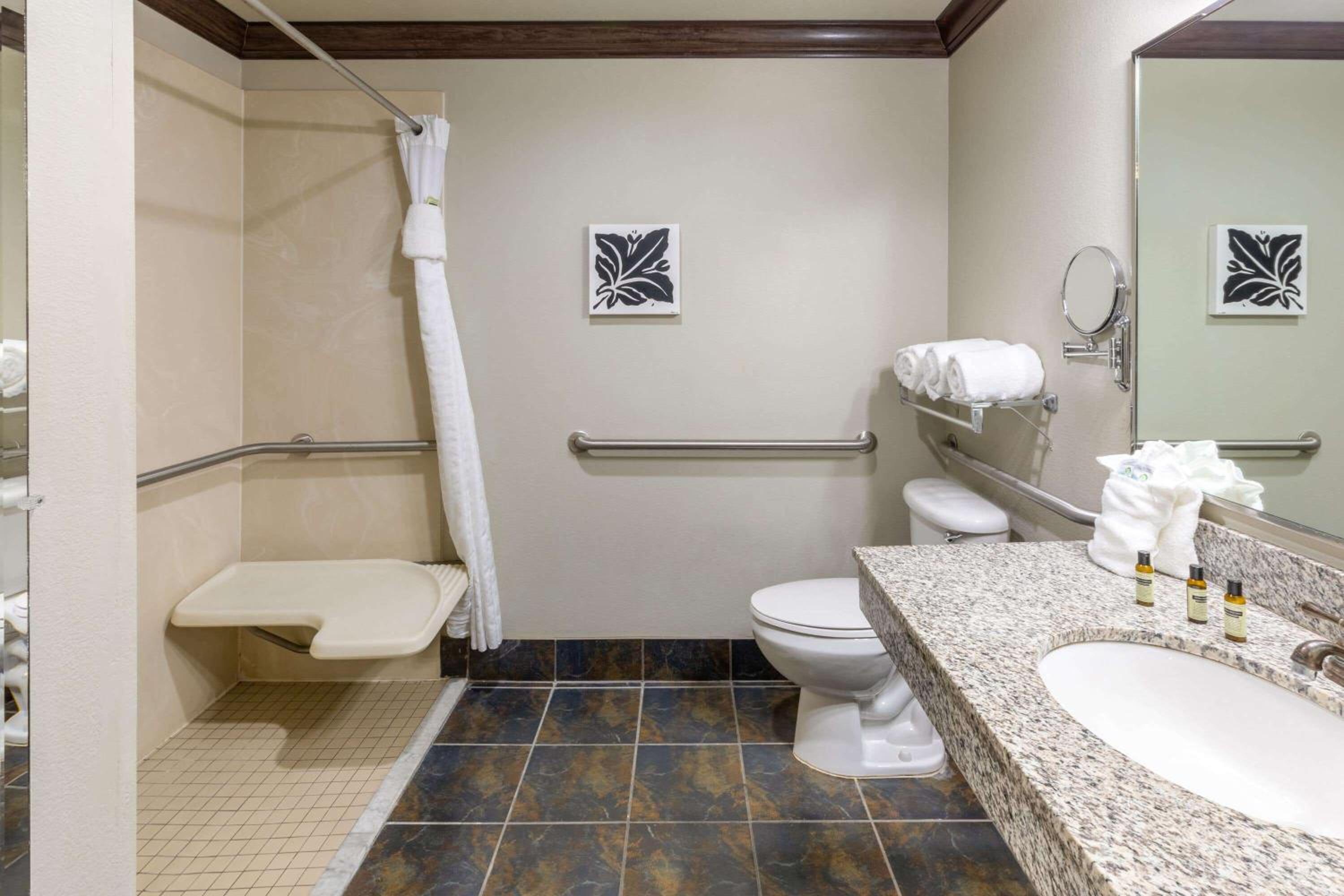 King Room with Bath Tub - Mobility/Hearing Accessible - Non-Smoking - Photo 8