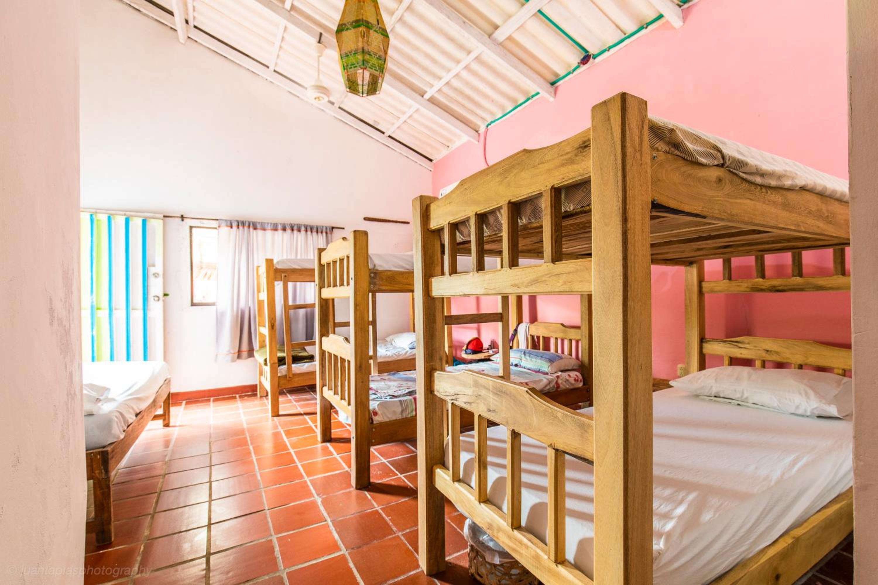 Bed In 6-Bed Mixed Dormitory Room