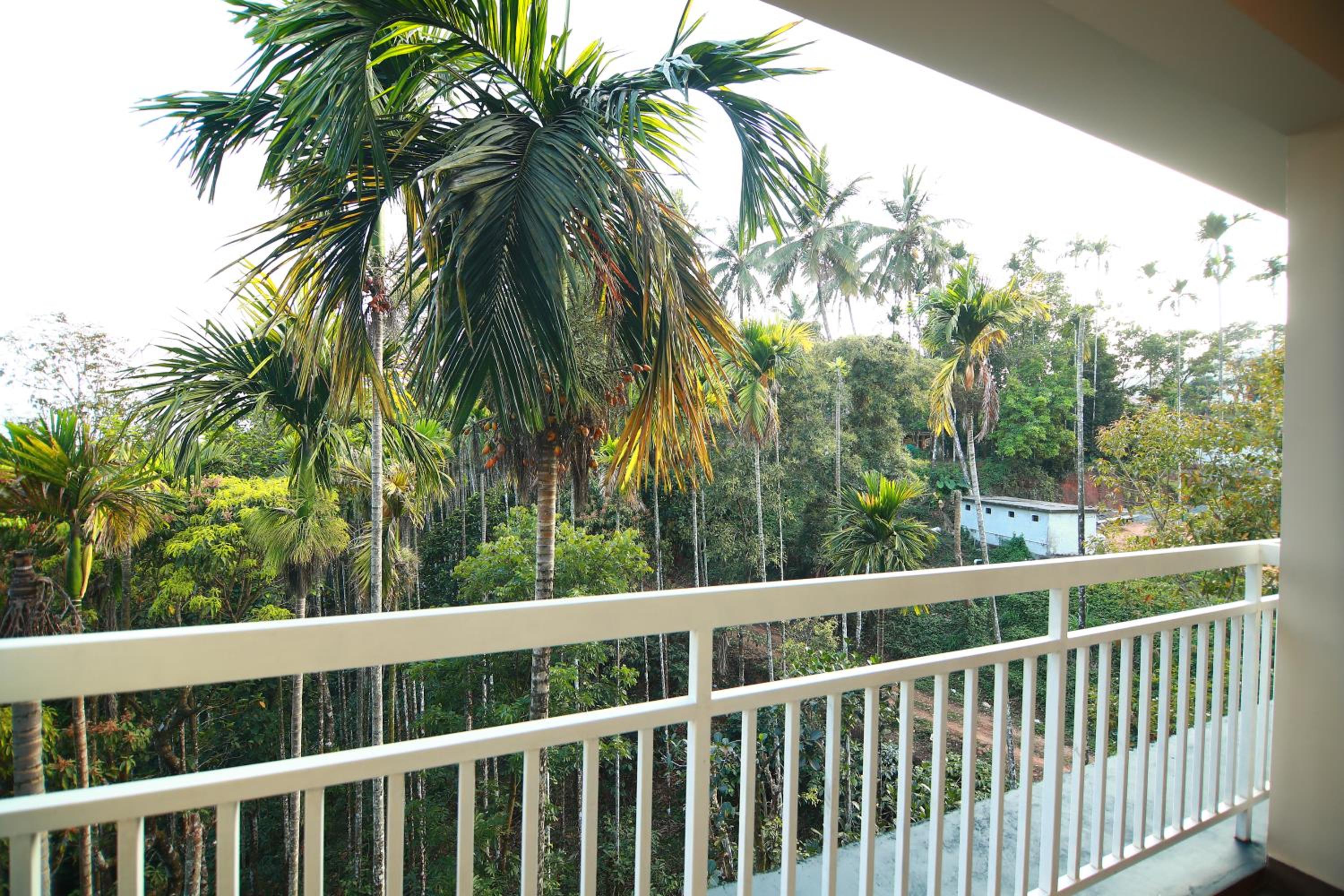 Deluxe Double Room with Balcony photo 3