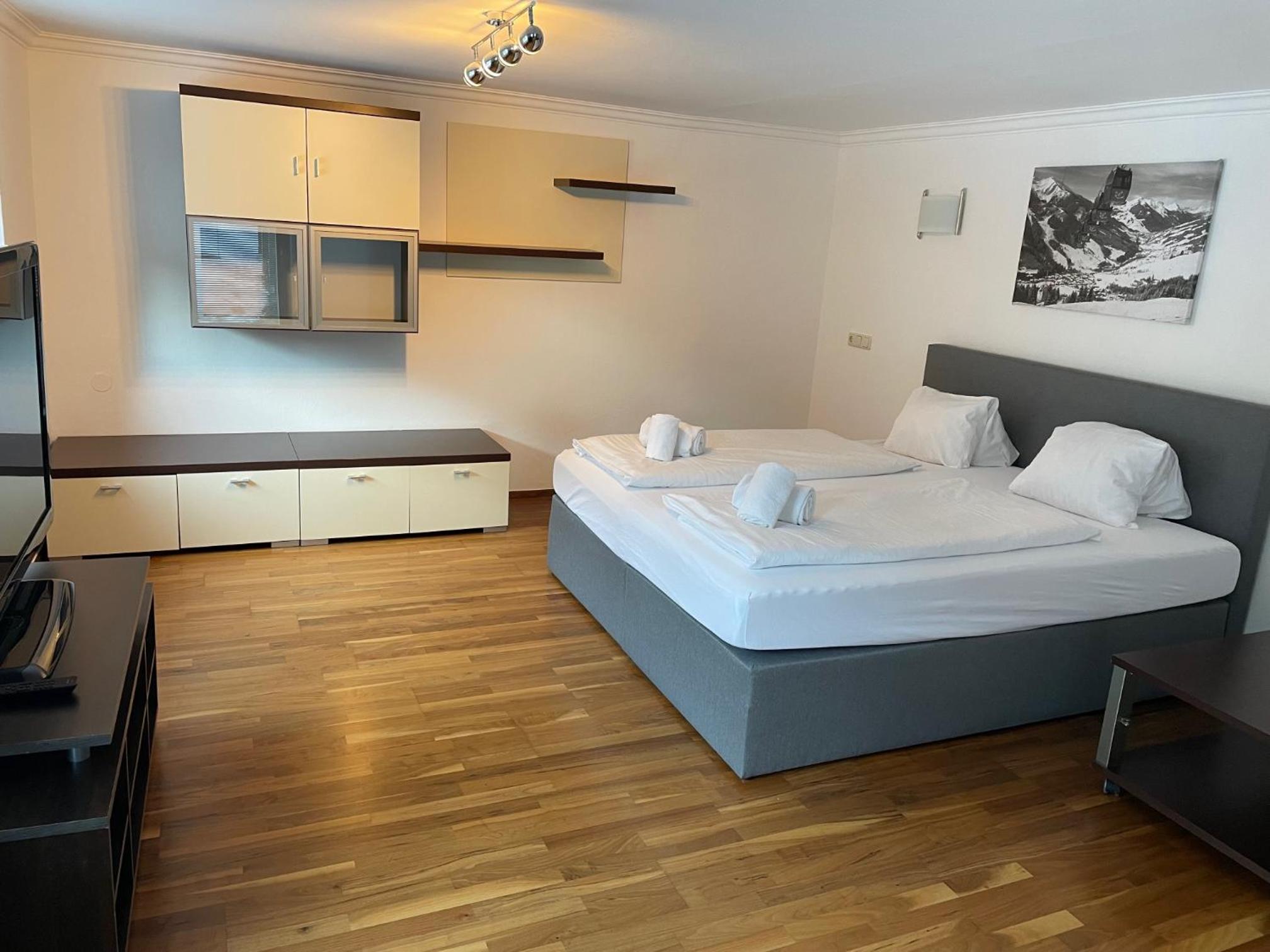 Superior One-Bedroom Apartment with Terrace photo 1