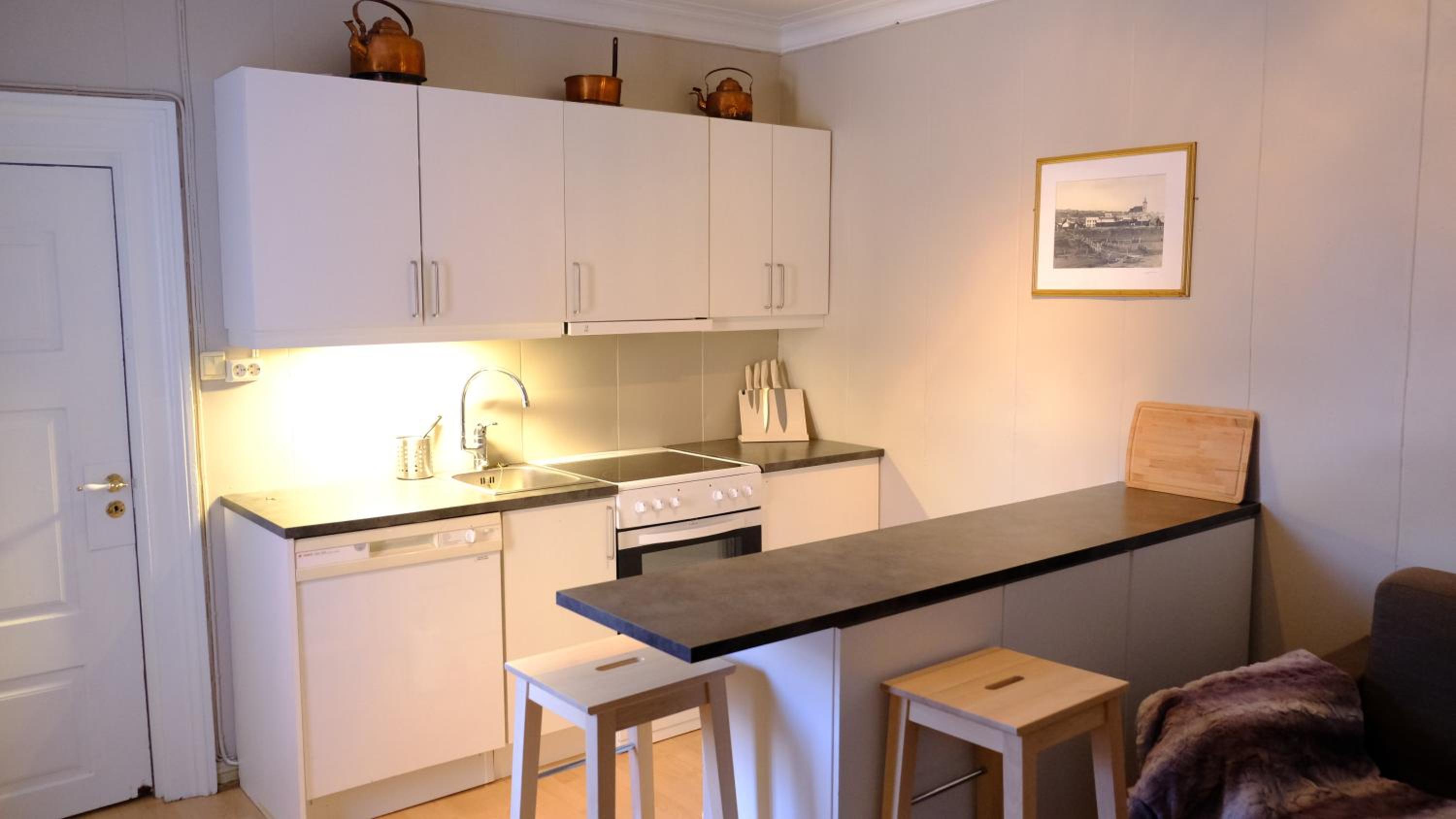 One-Bedroom Apartment - Photo 5