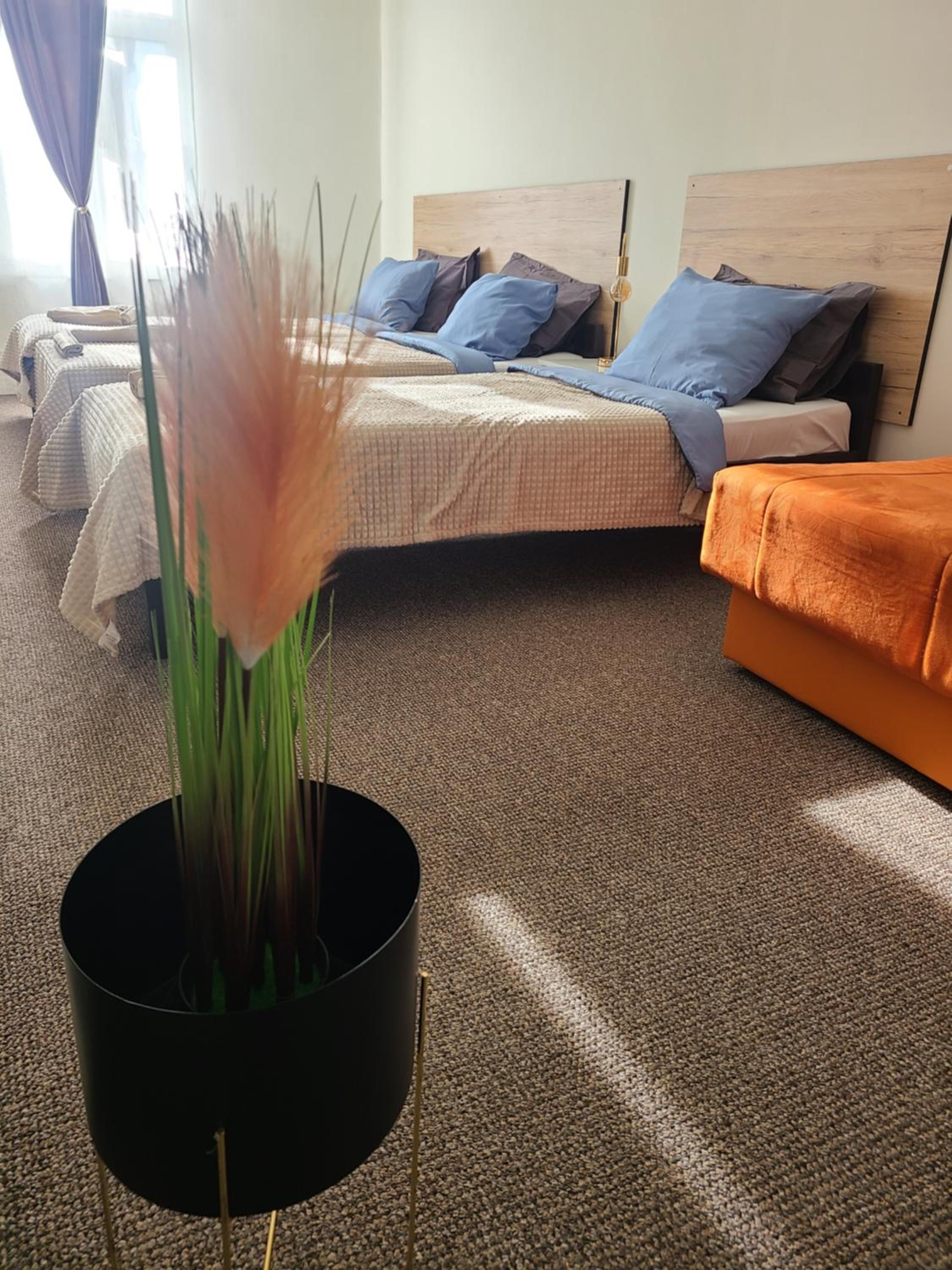 Apartment photo 3