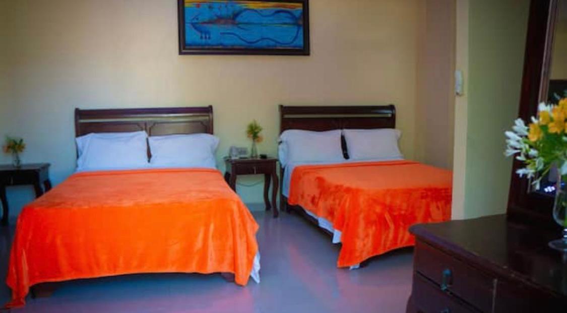 Deluxe Twin Room photo 1