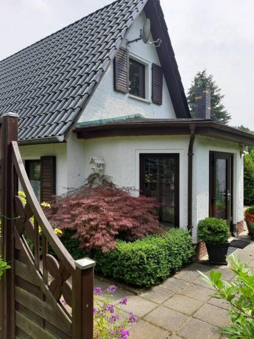 One-Bedroom House photo 1