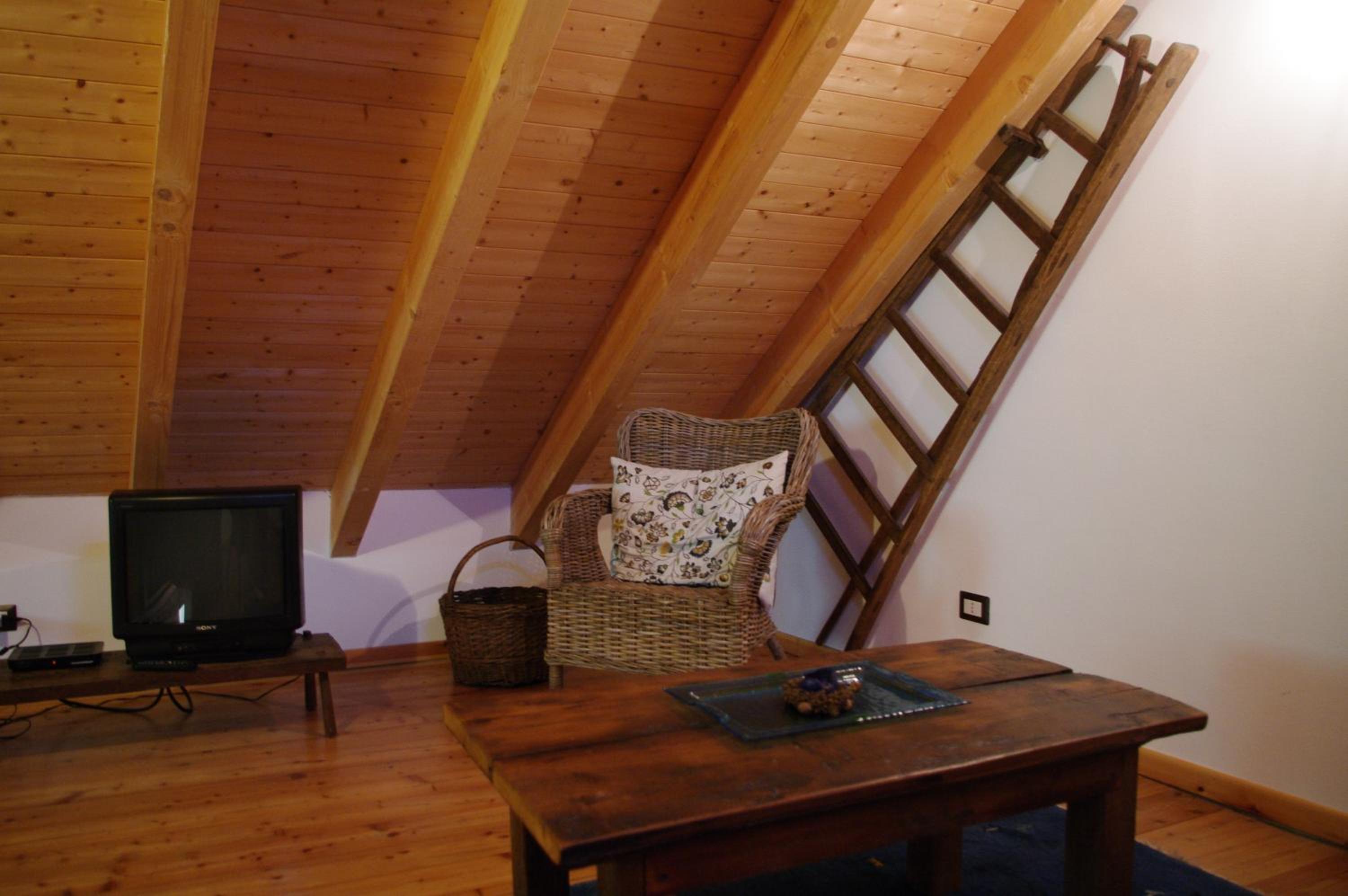 Duplex Apartment photo 3