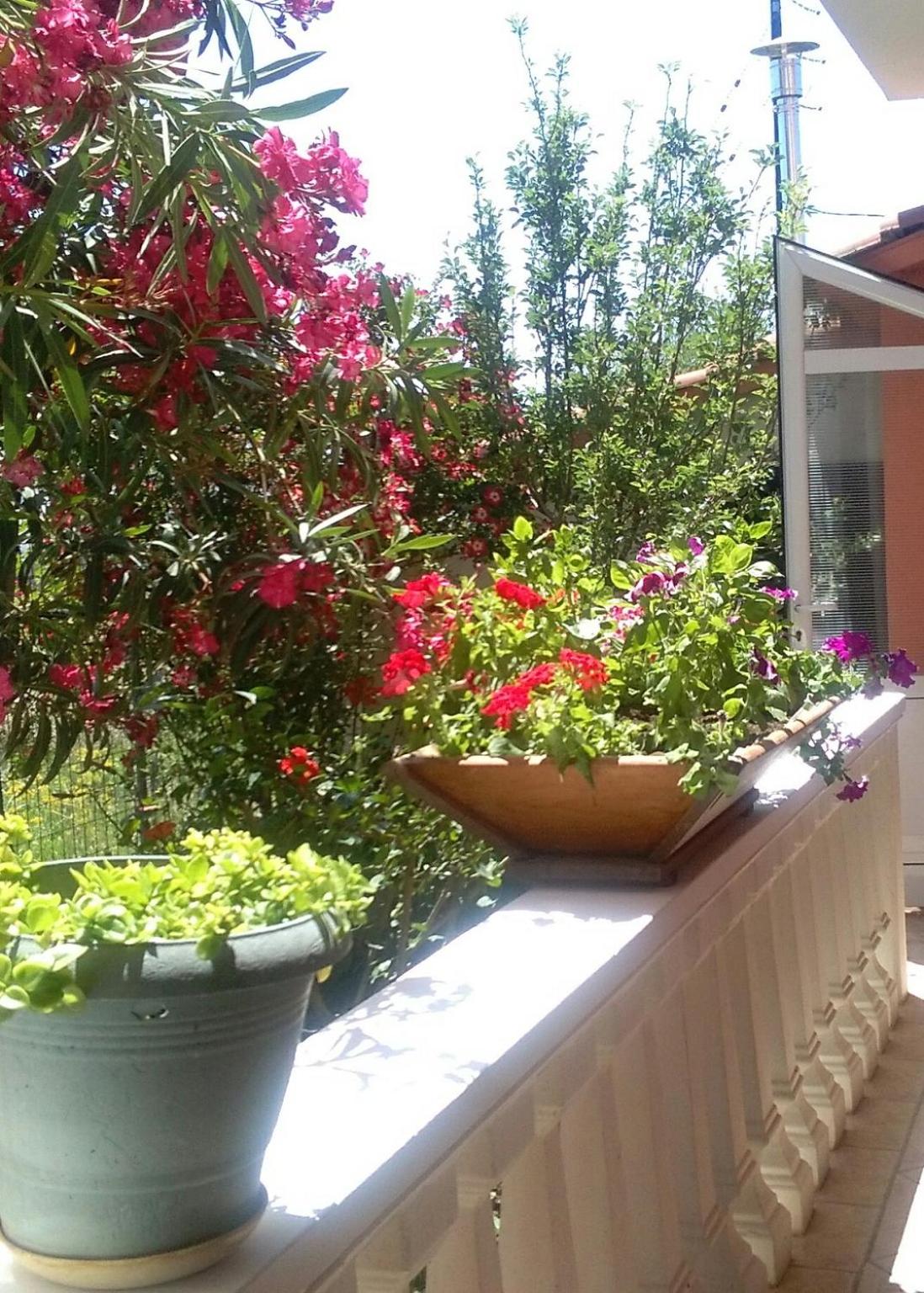Apartment - Photo 44