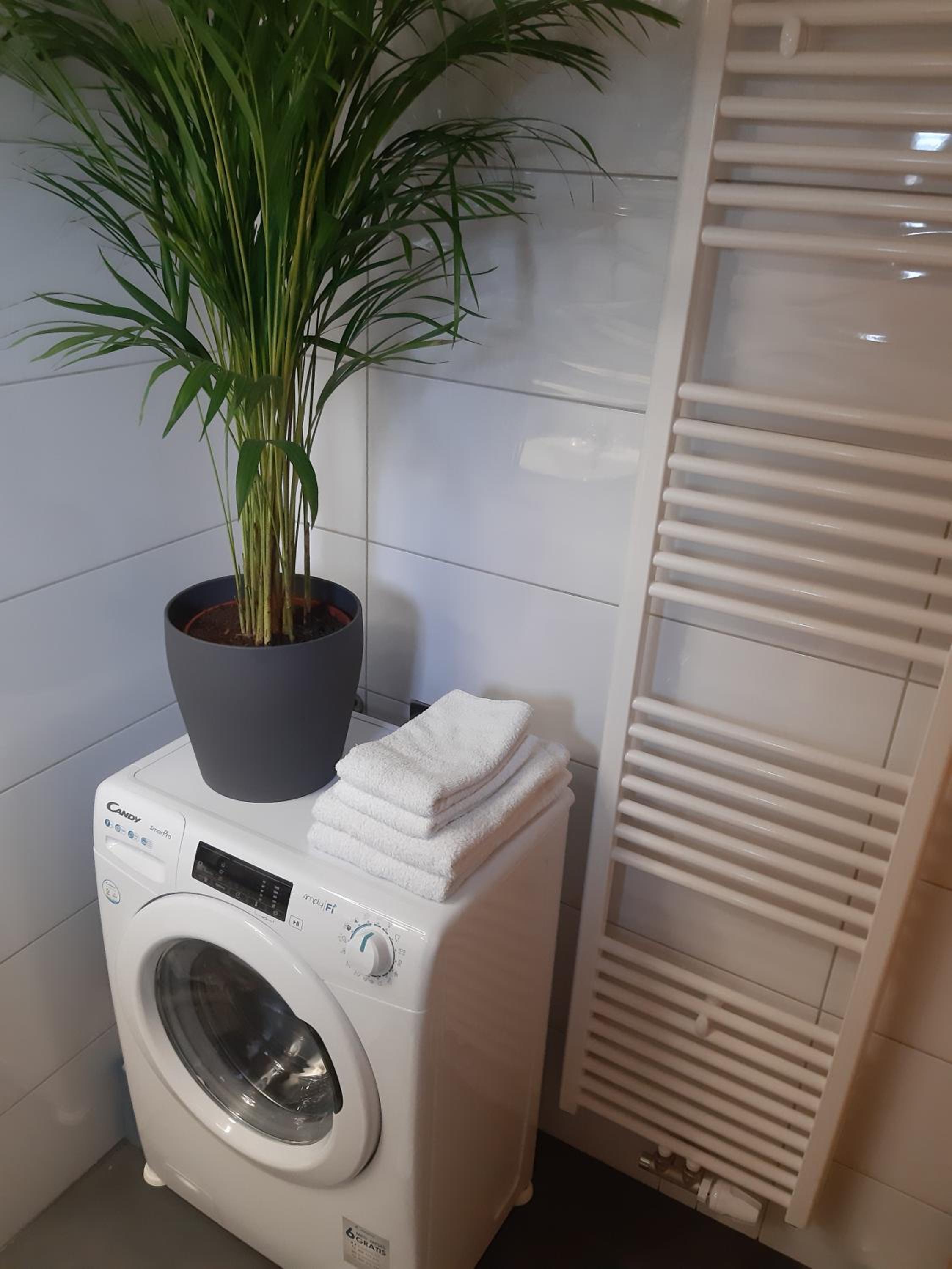 Apartment (2 Adults + 2 Children) - Photo 2