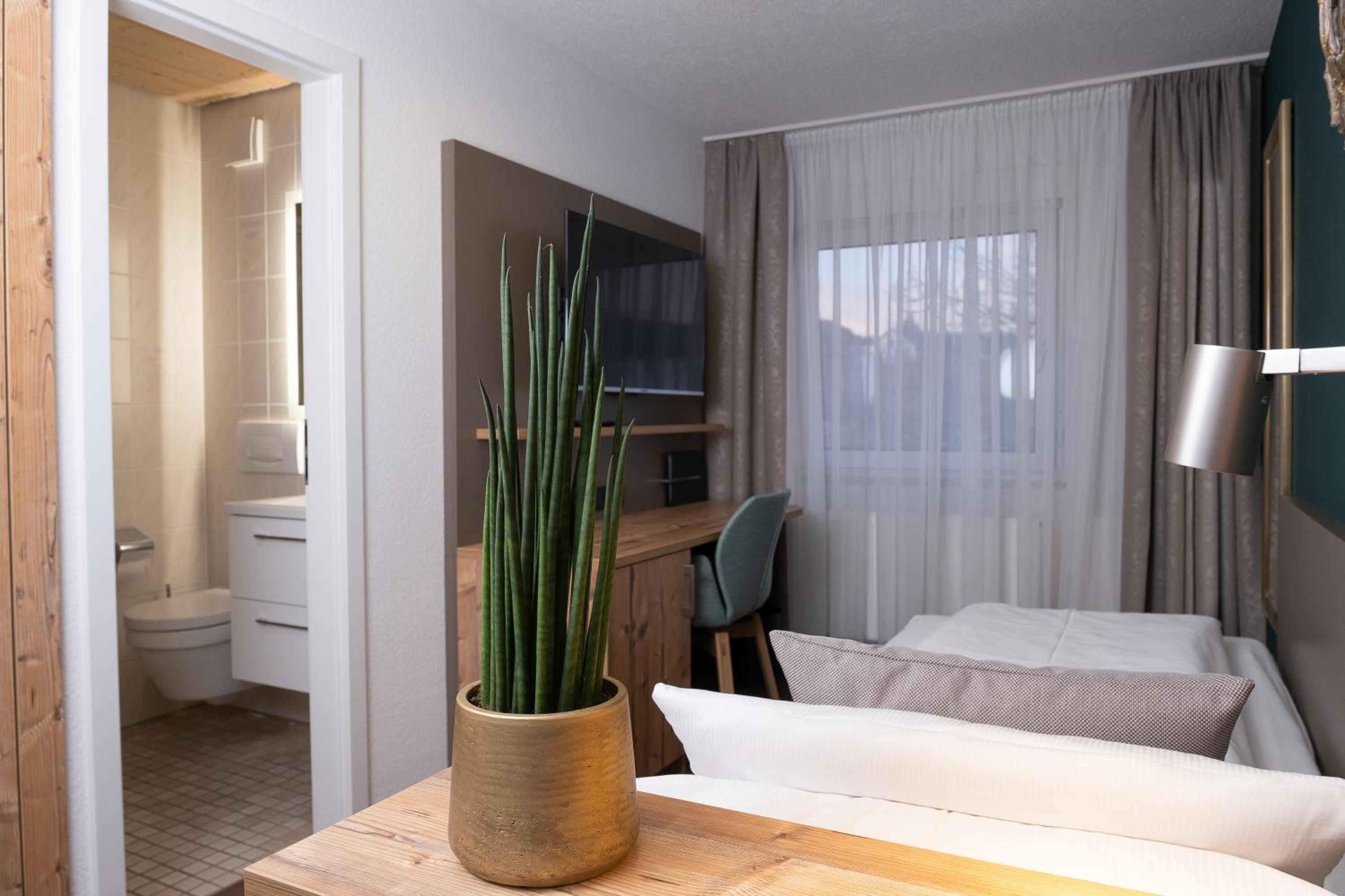 Single Room photo 3