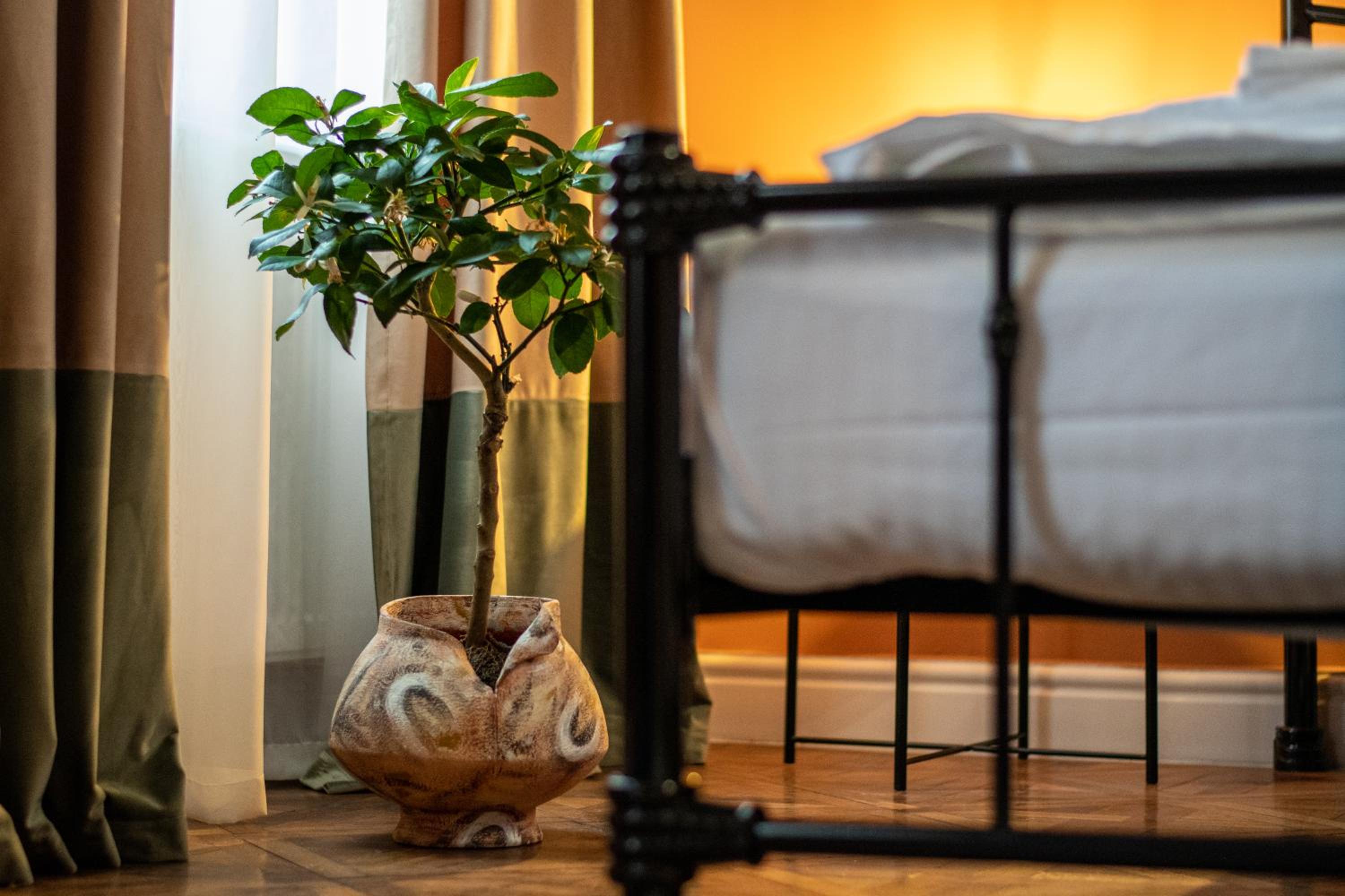 Apartment - Photo 2