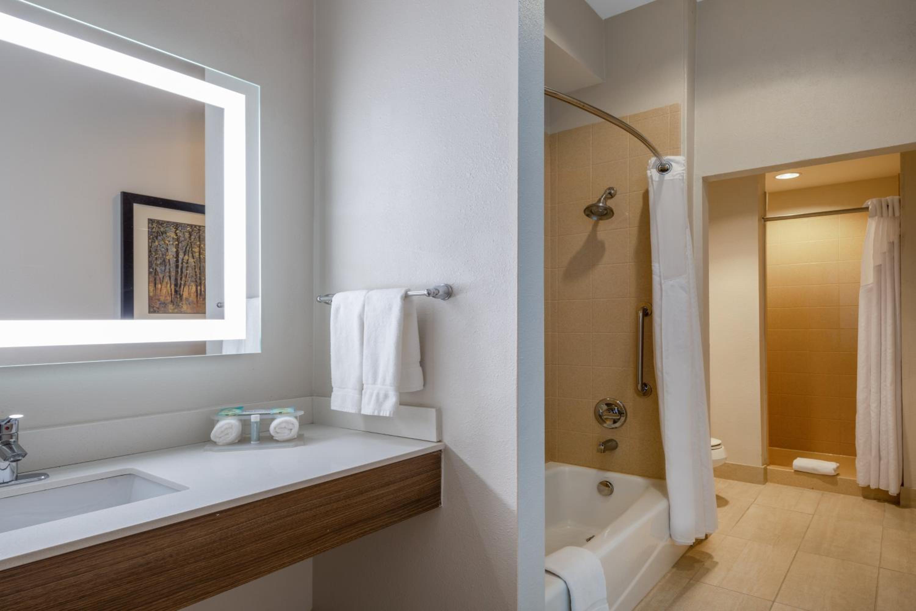 Two-Bedroom Suite - Photo 4