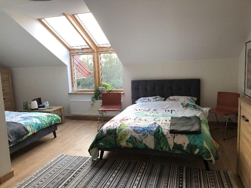 Superior Quadruple Room photo 2