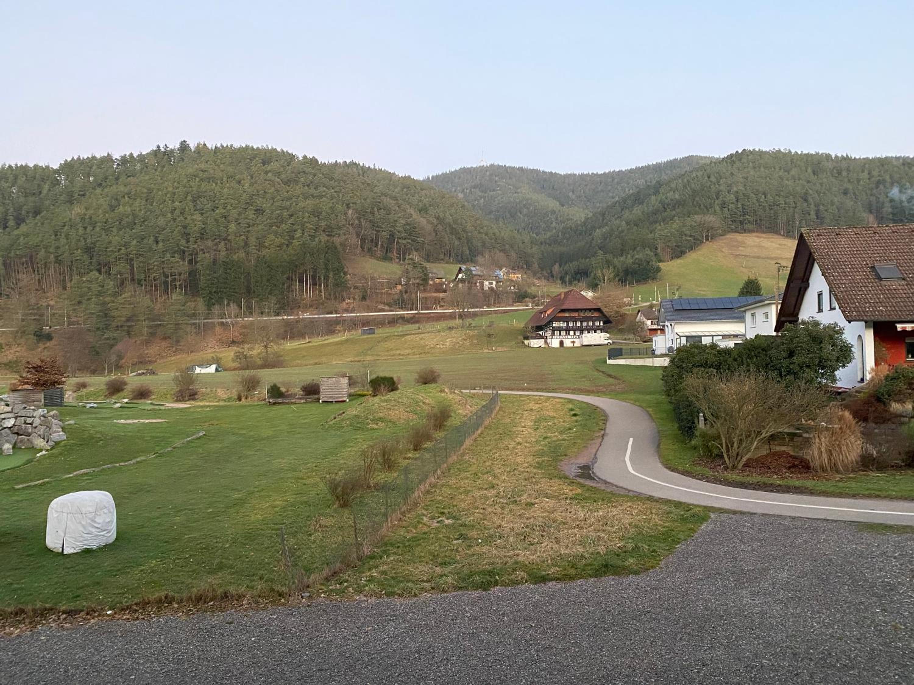 Double Room with Balcony photo 3
