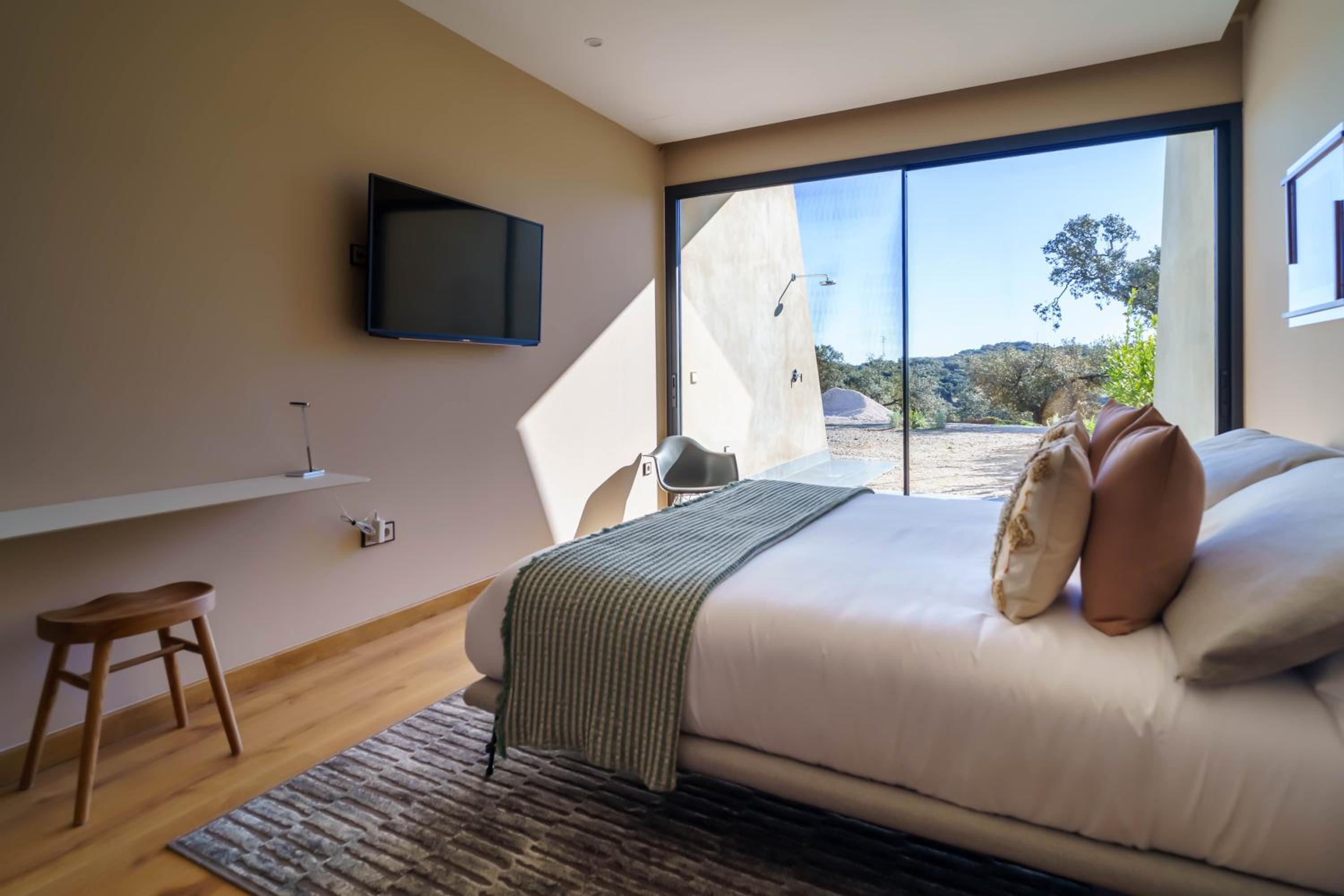 Deluxe Room photo 2