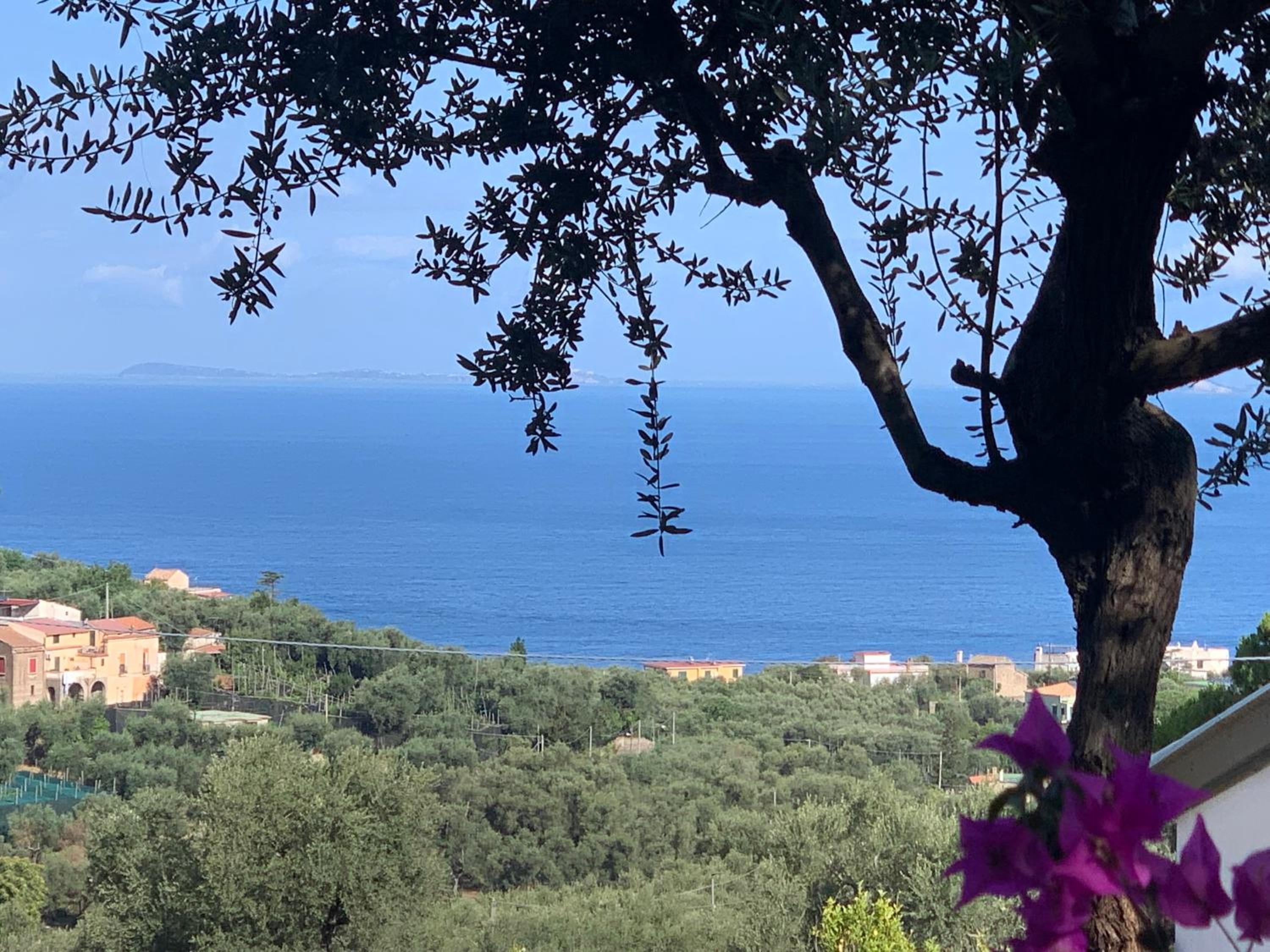 Double or Twin Room with Sea View - Photo 8