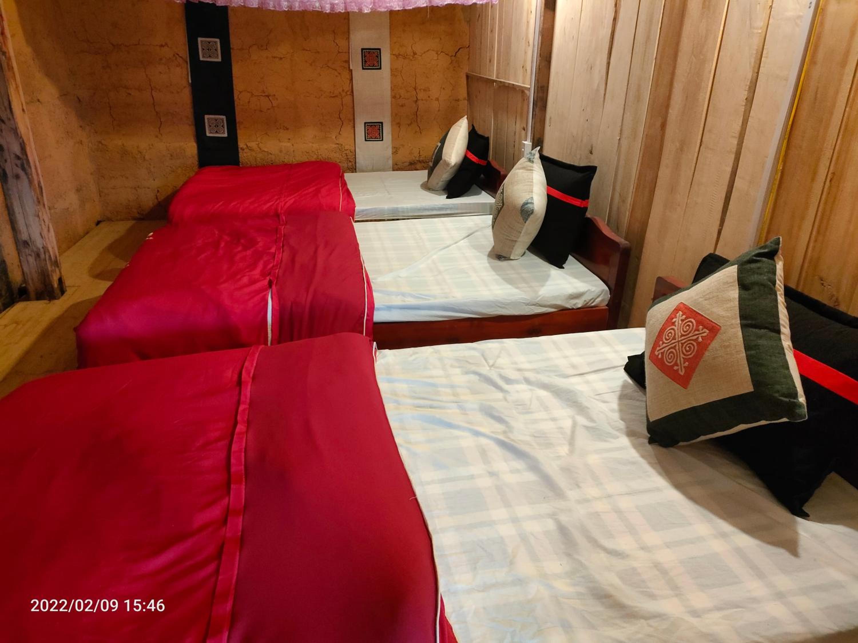 Bunk Bed in Mixed Dormitory Room photo 1