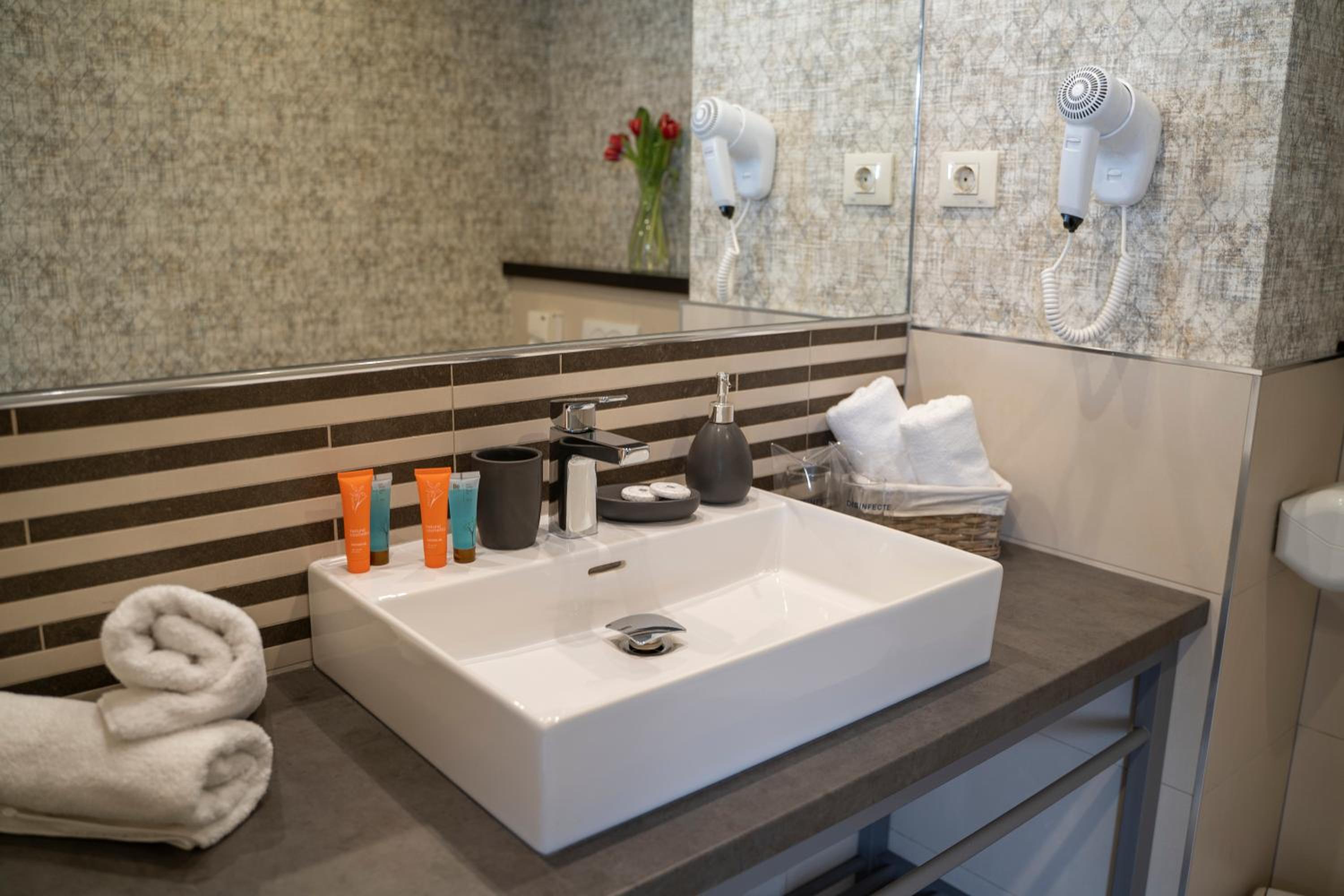Deluxe King Suite - Photo 7