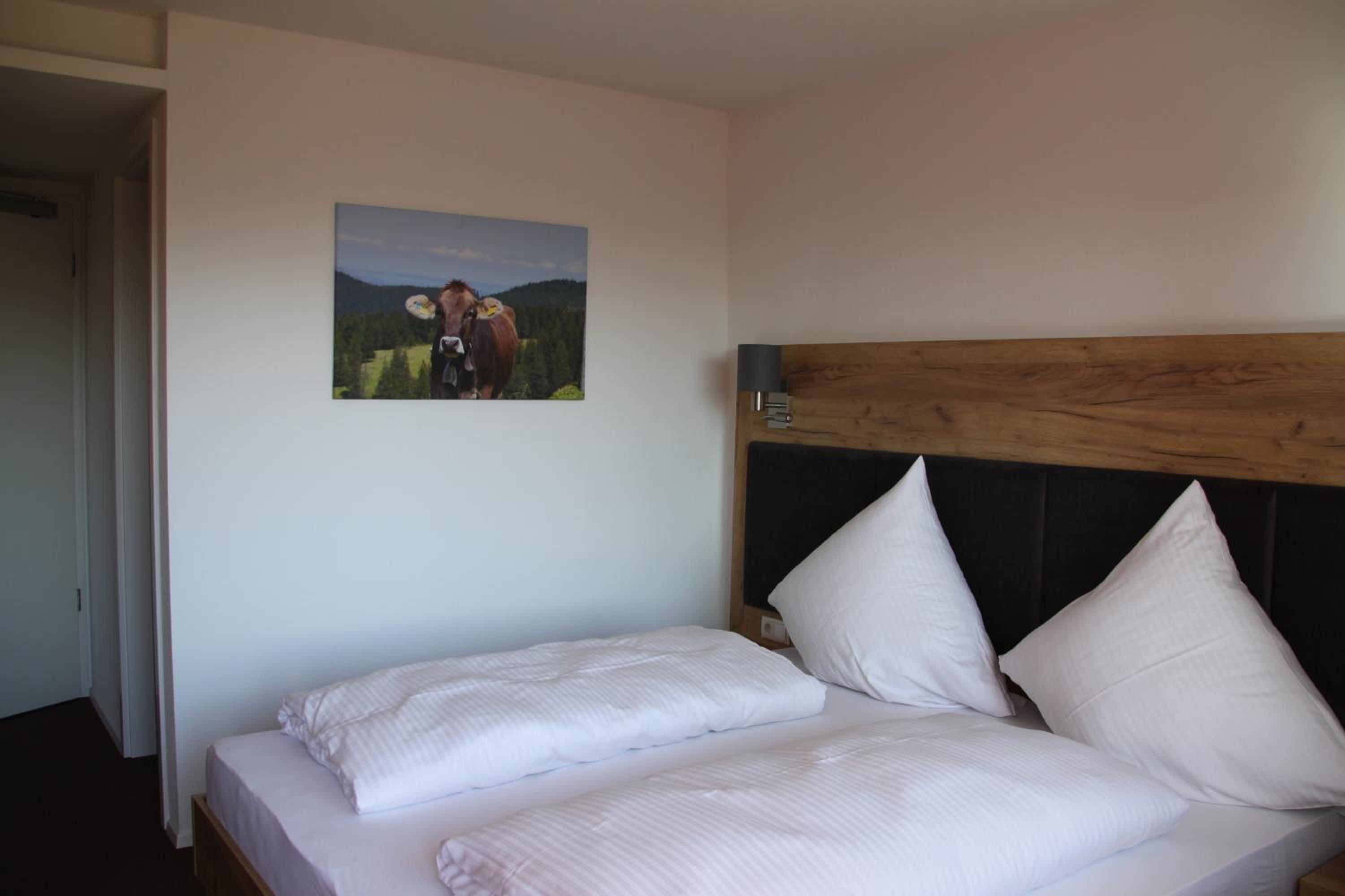 Double Room with Mountain View and Balcony
