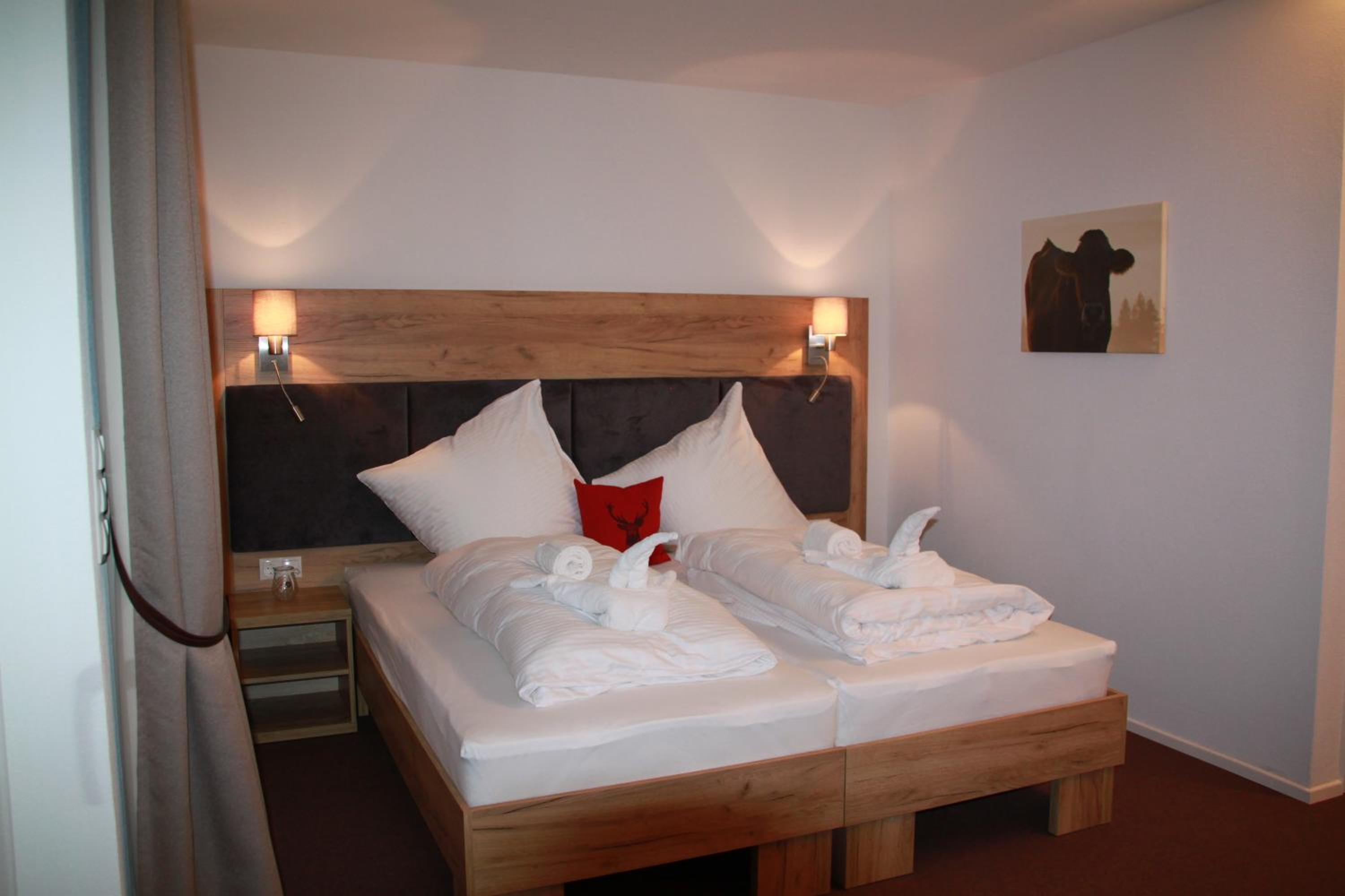 Double Room with Mountain View and Balcony photo 1