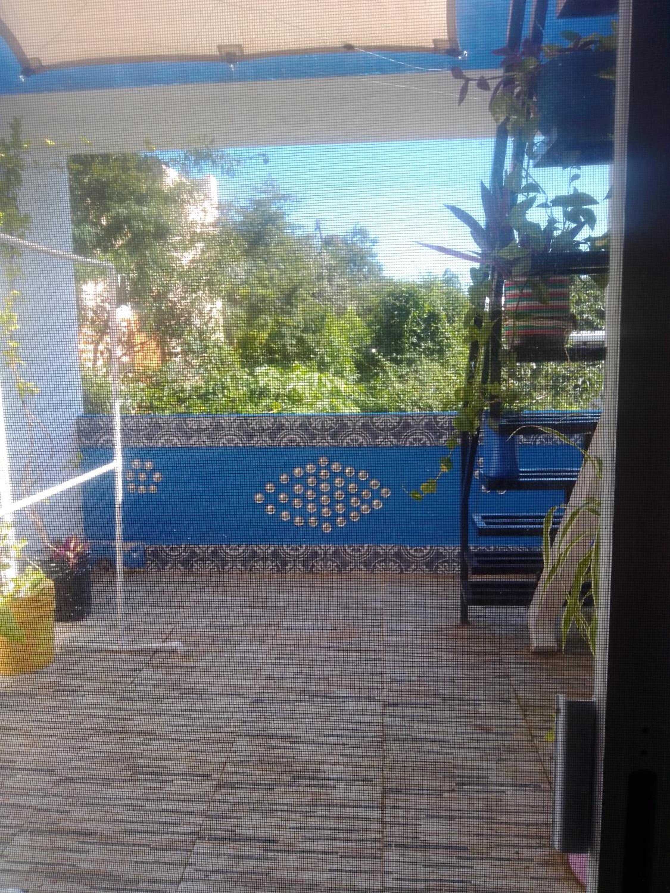 King Suite with Balcony photo 2